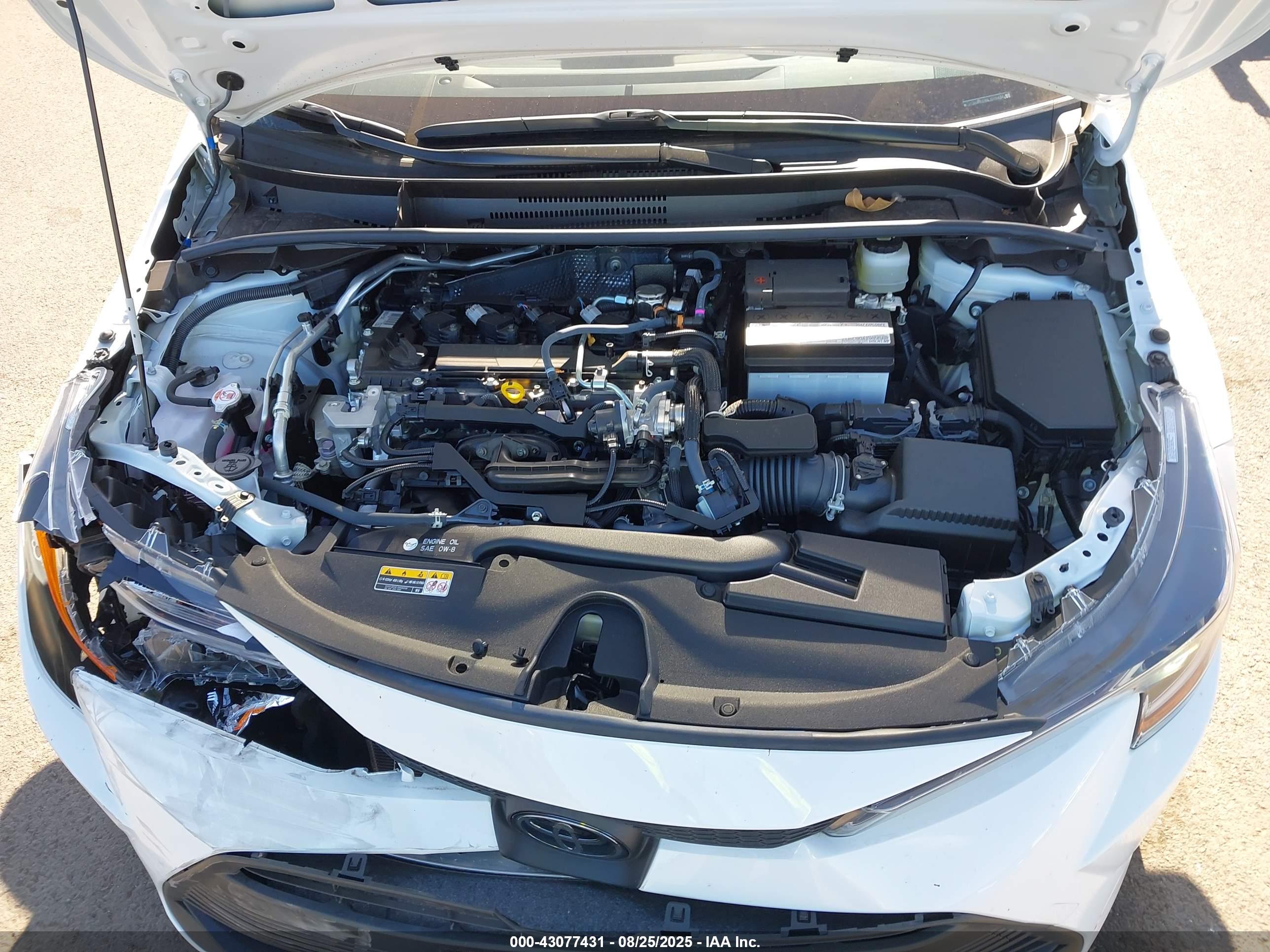 TOYOTA COROLLA image 10