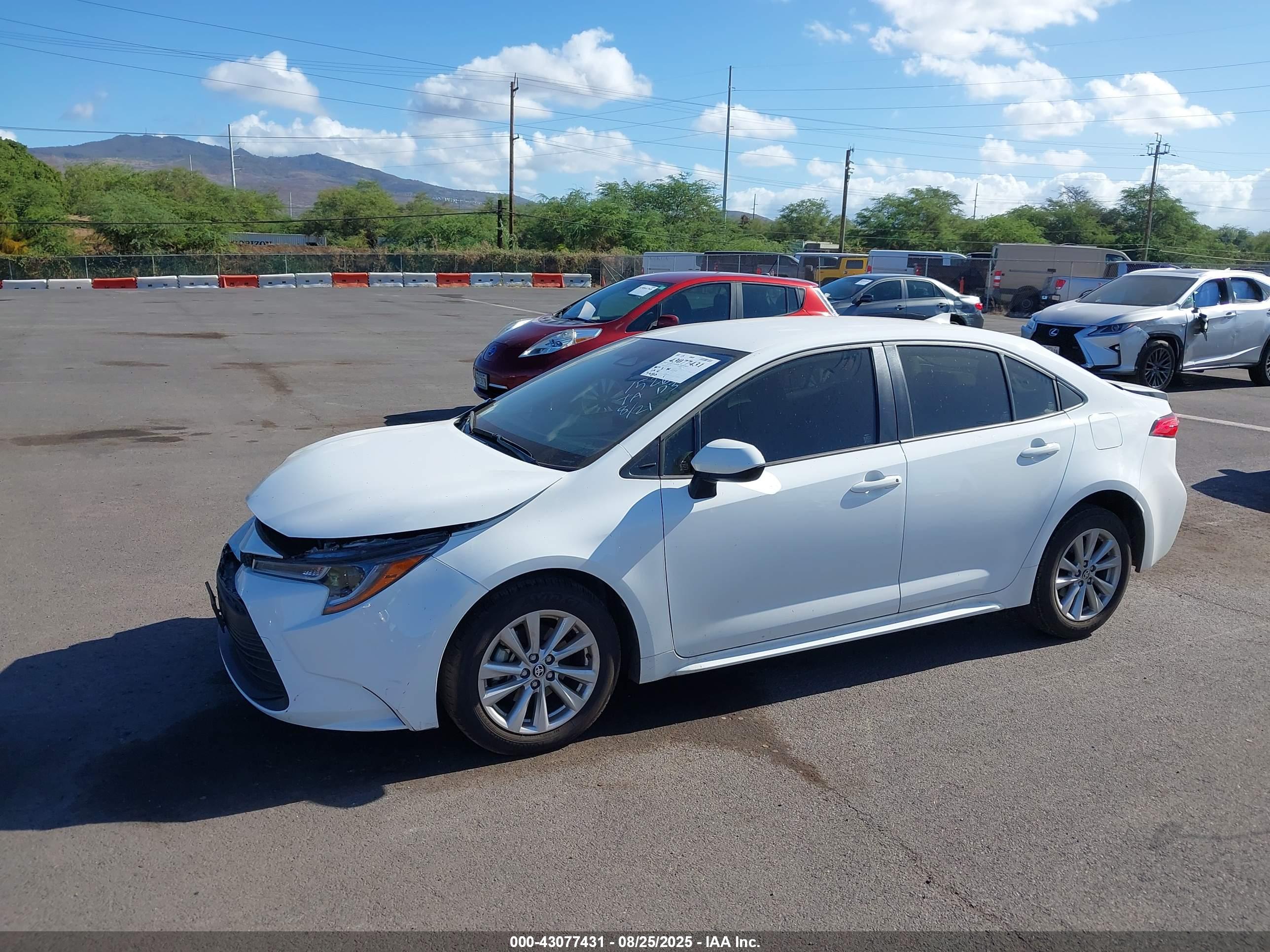 TOYOTA COROLLA image 6