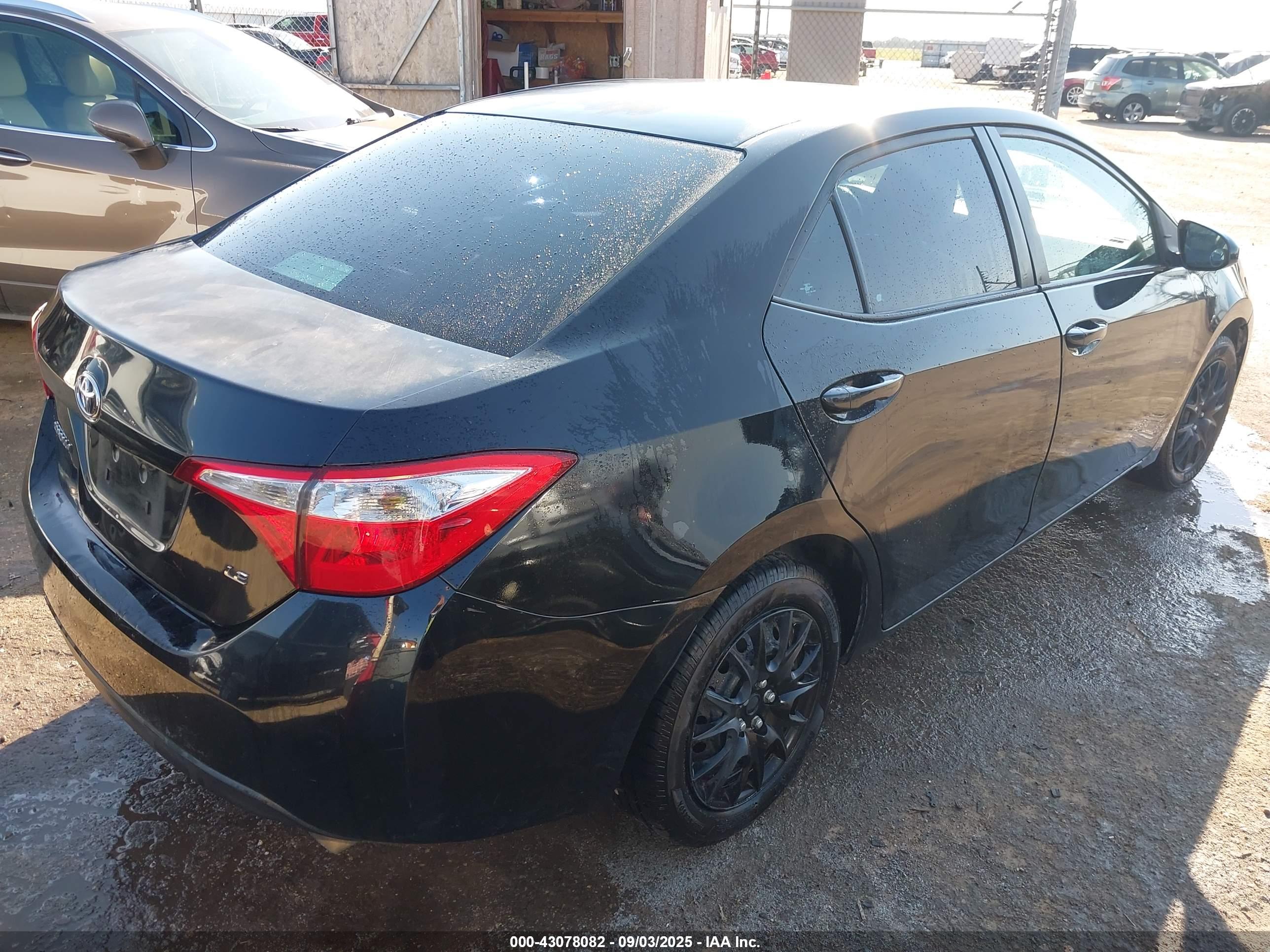 TOYOTA COROLLA image 4