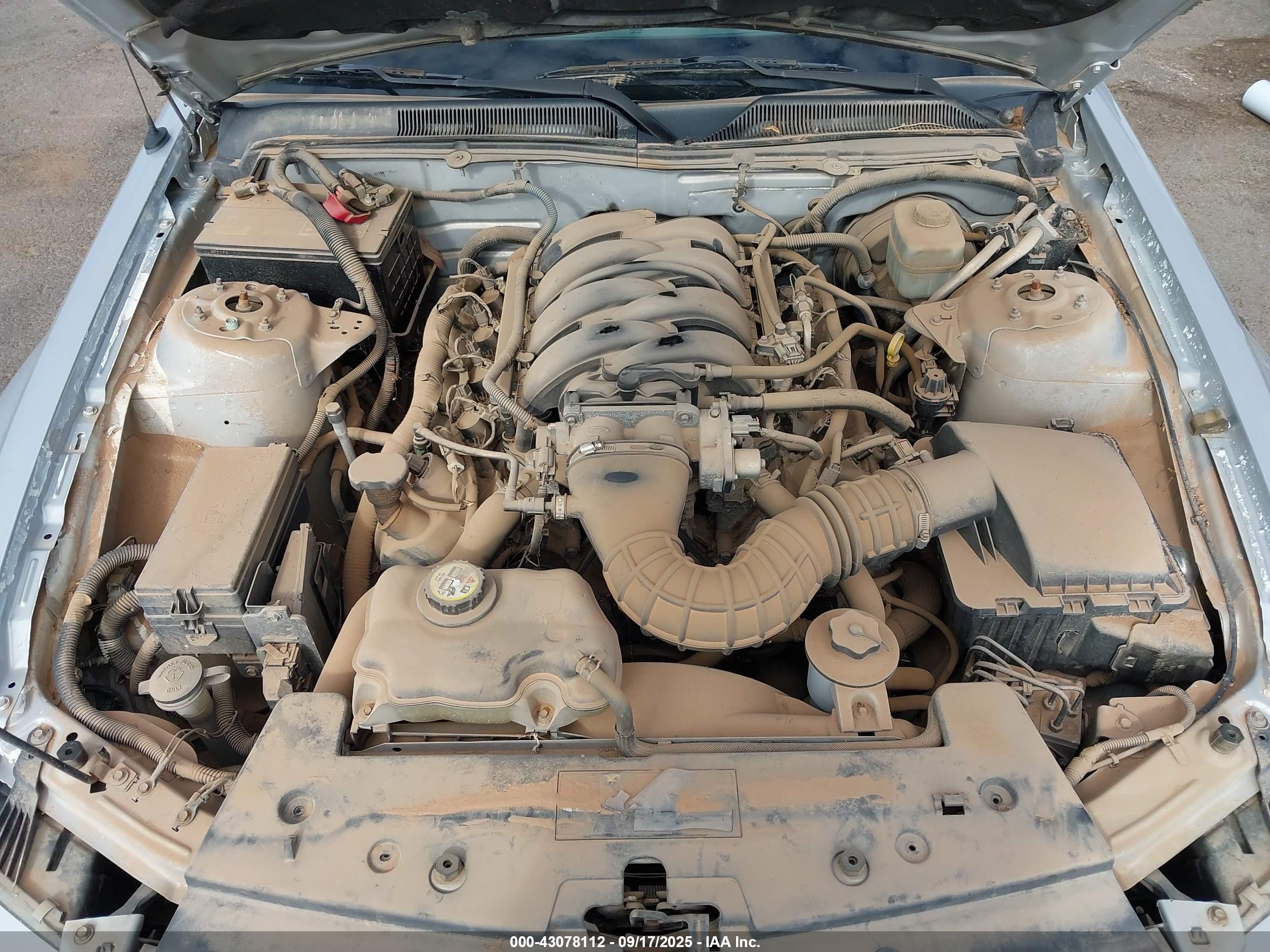 FORD MUSTANG image 10
