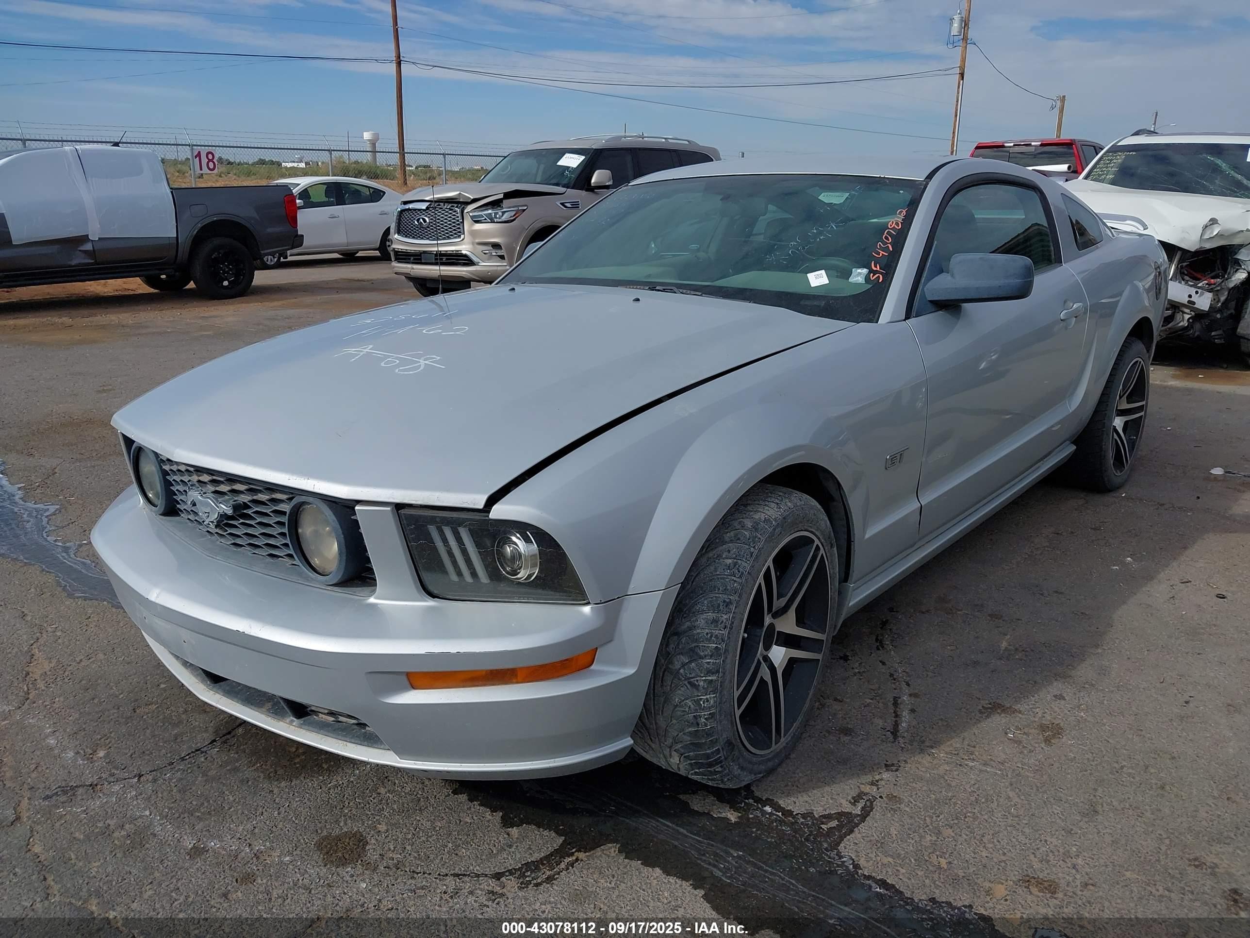 FORD MUSTANG image 2