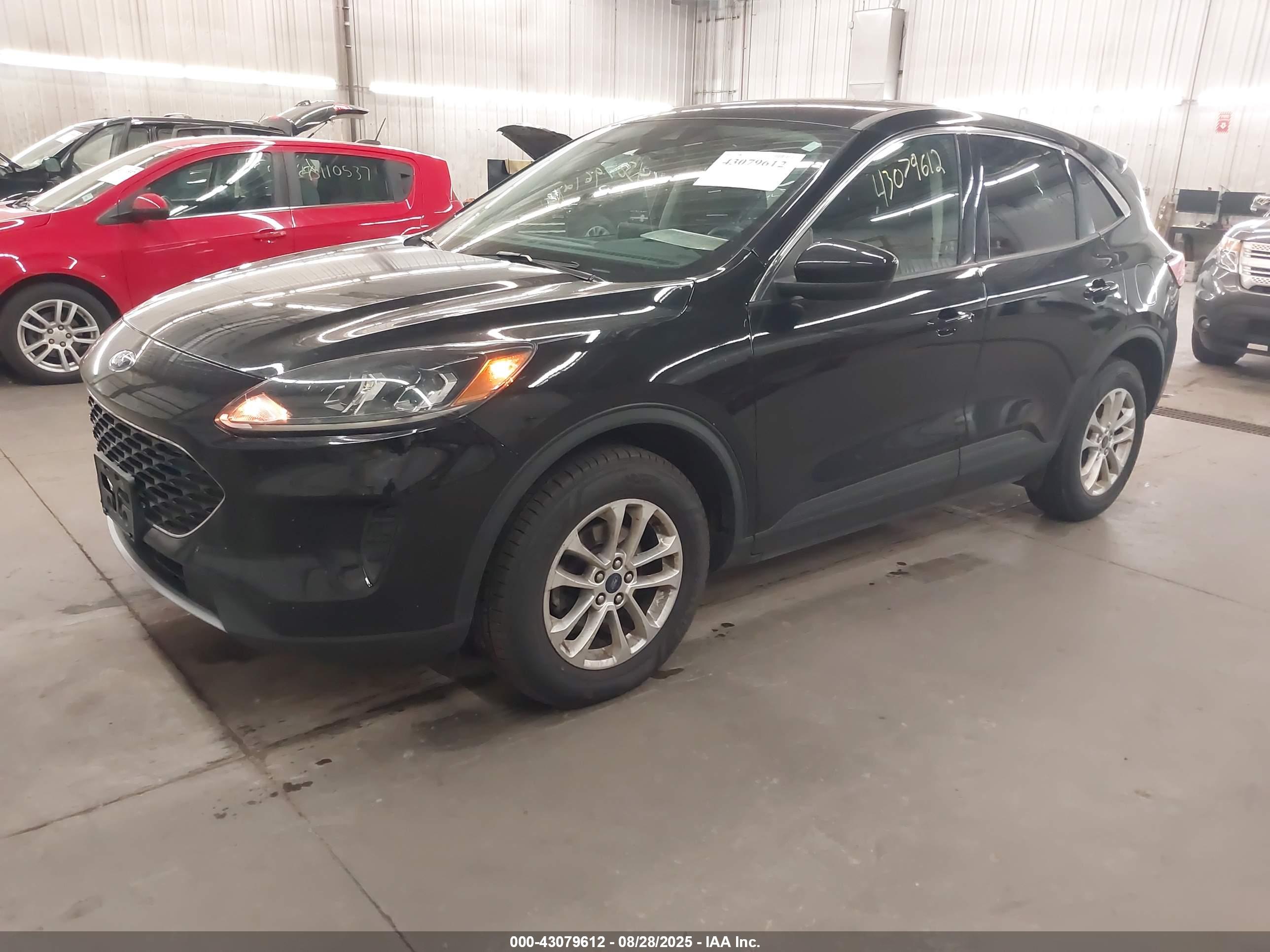 FORD ESCAPE image 2