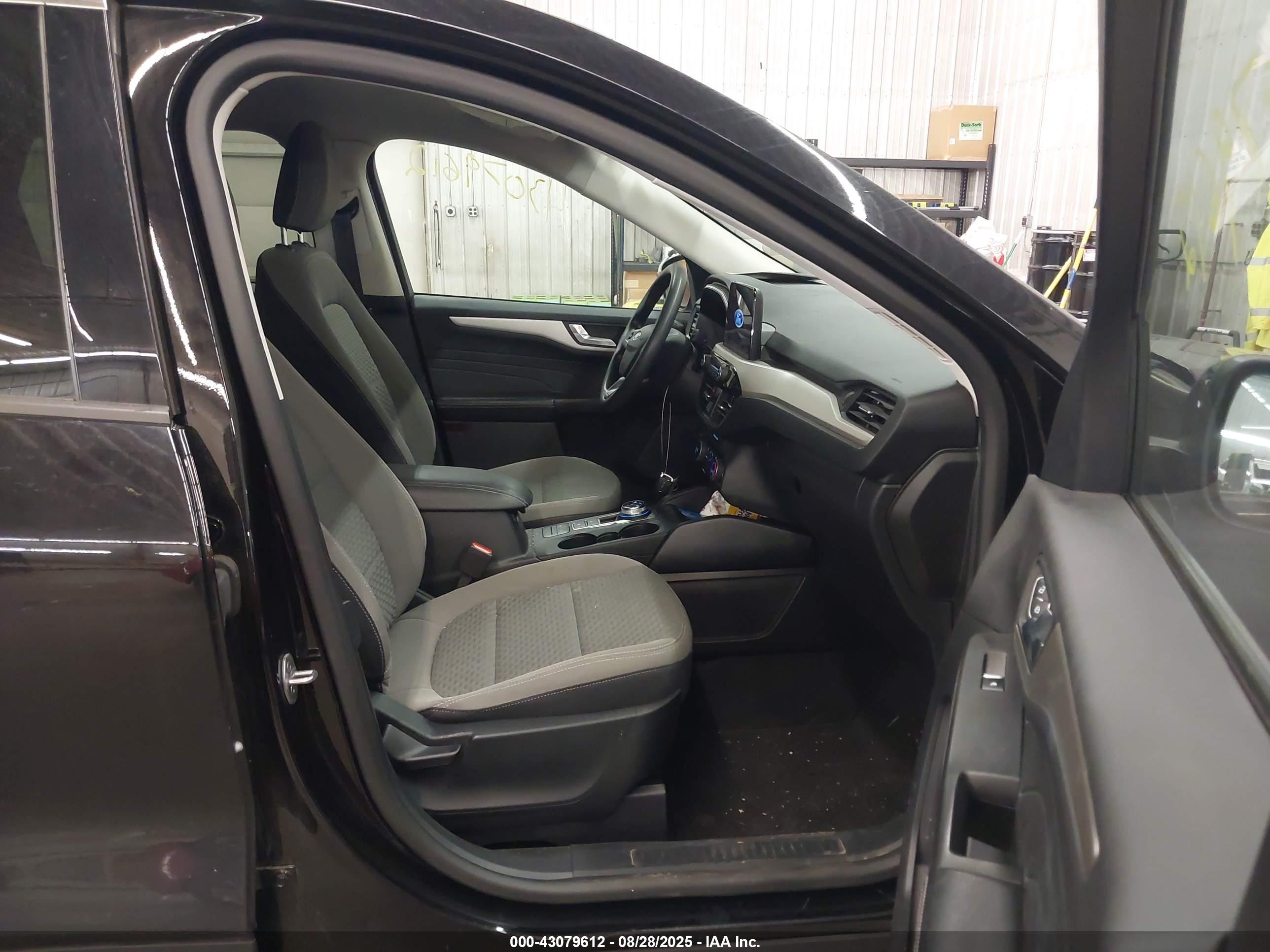 FORD ESCAPE image 5