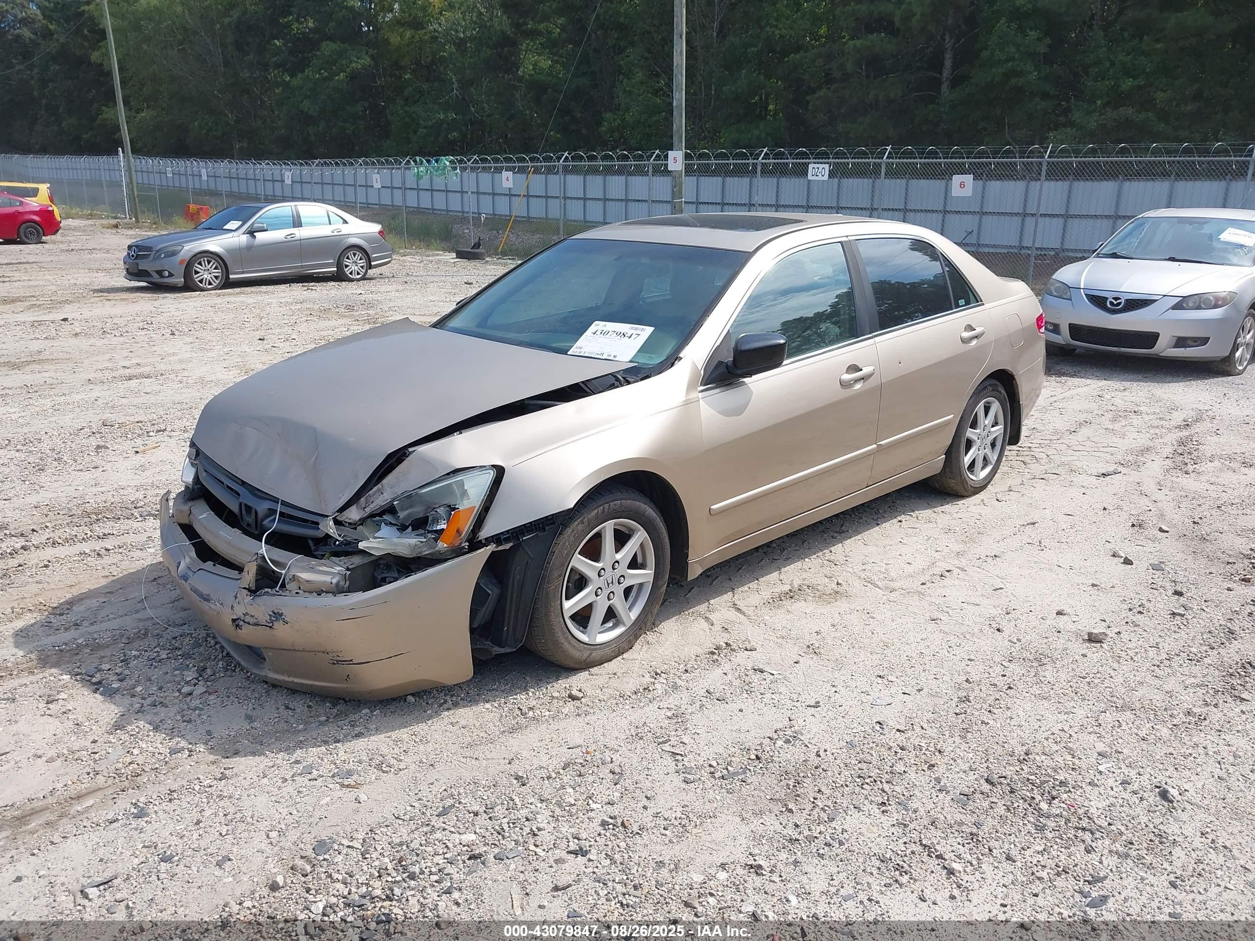 HONDA ACCORD image 2