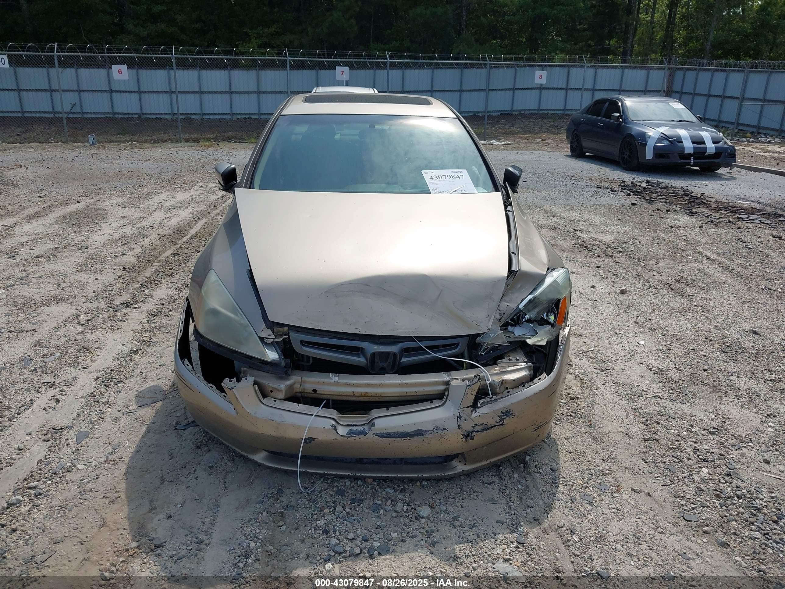 HONDA ACCORD image 6