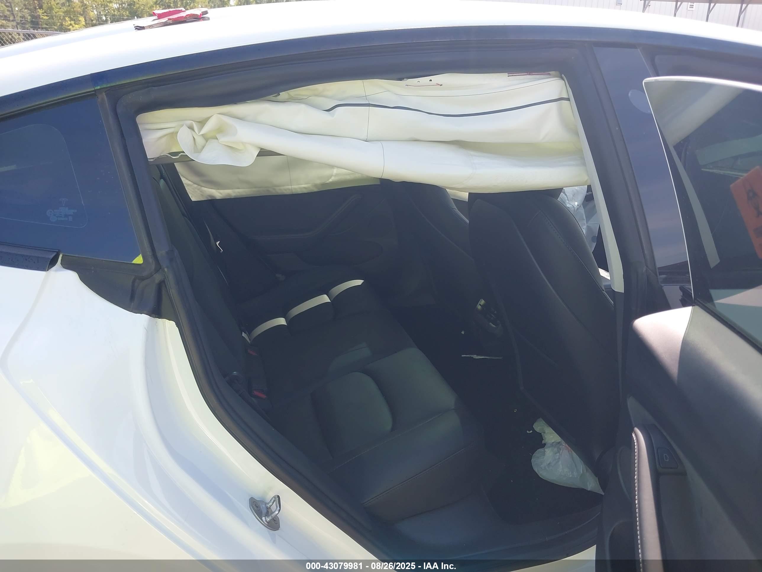 TESLA MODEL image 8