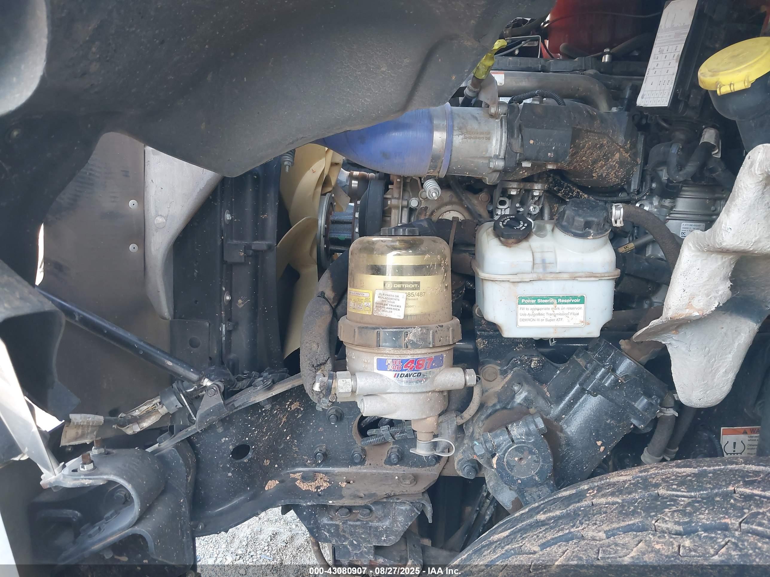 WESTERN STAR image 10