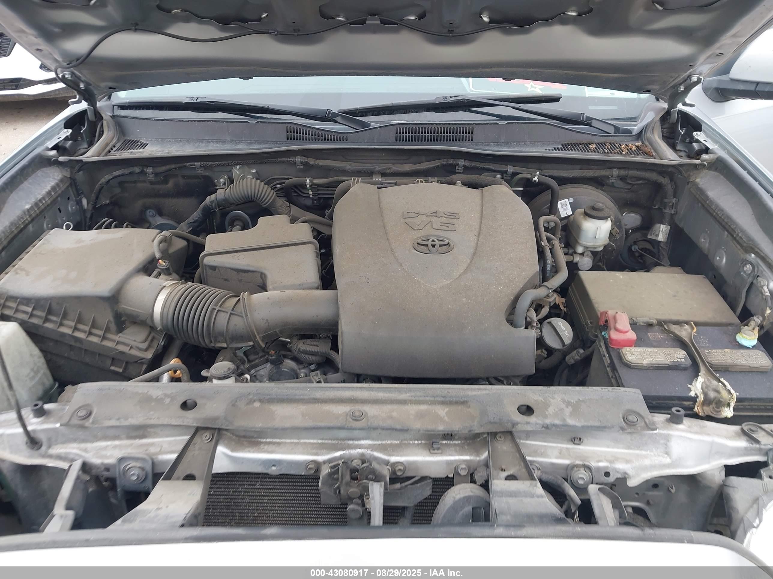 TOYOTA TACOMA image 10