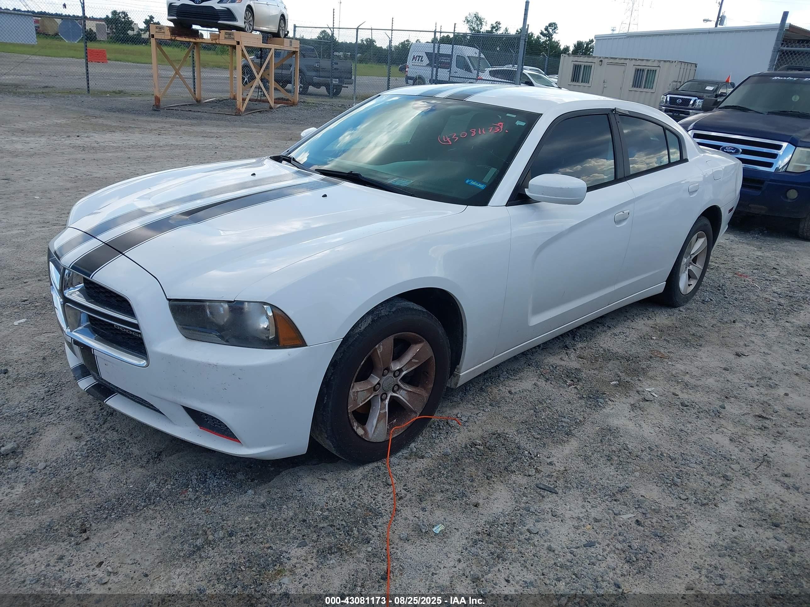 DODGE CHARGER image 2