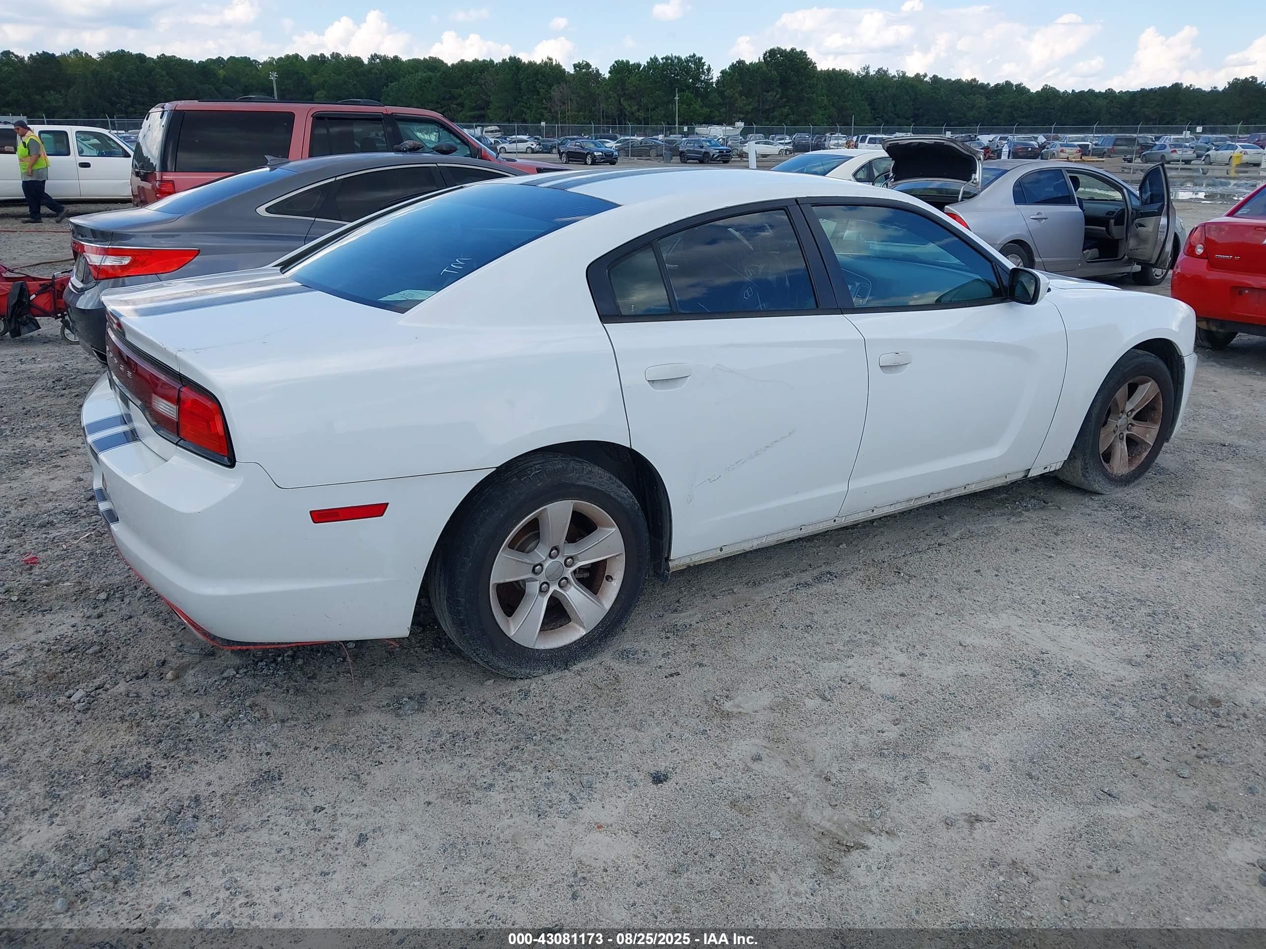 DODGE CHARGER image 4