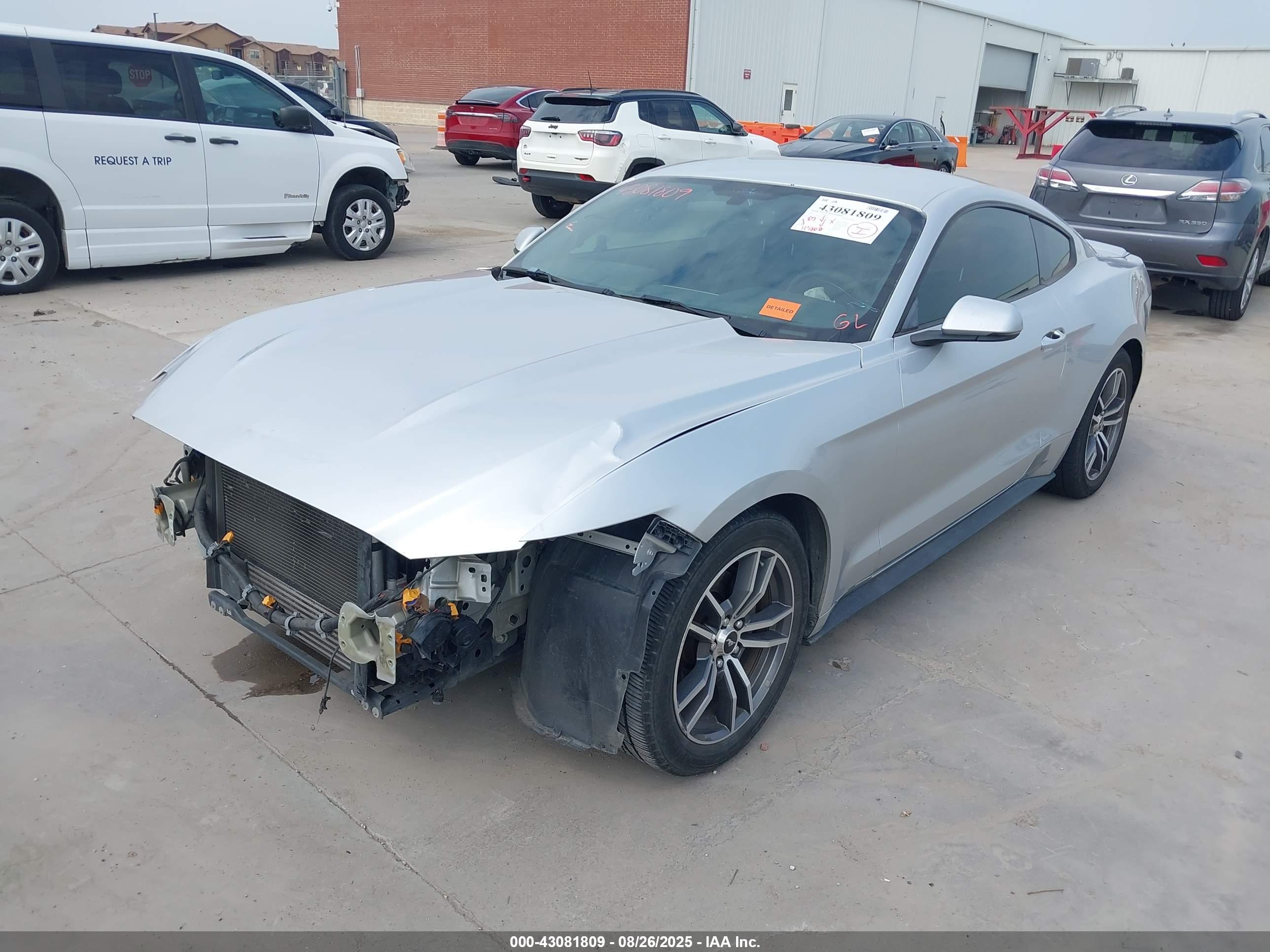 FORD MUSTANG image 2