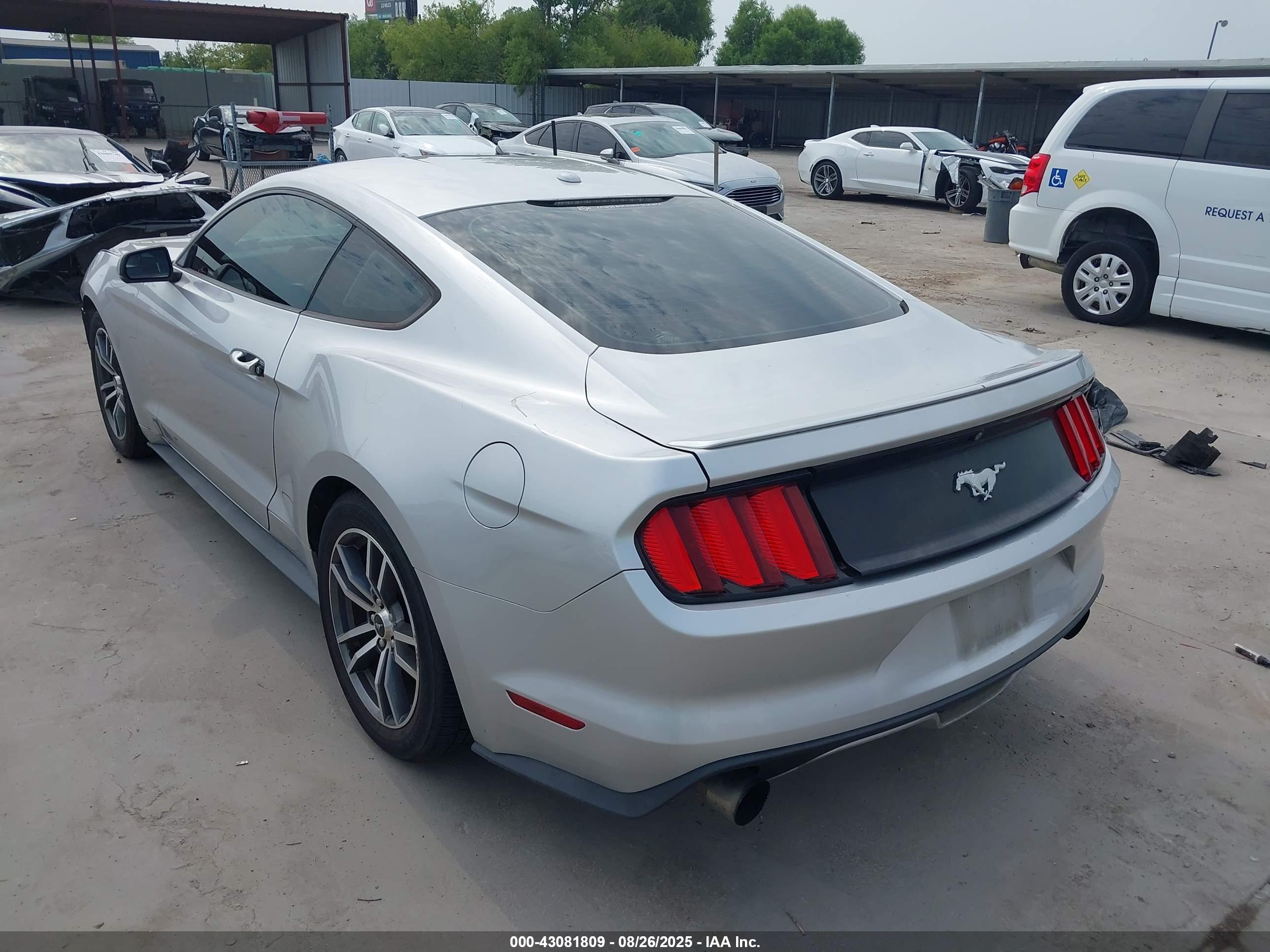 FORD MUSTANG image 3
