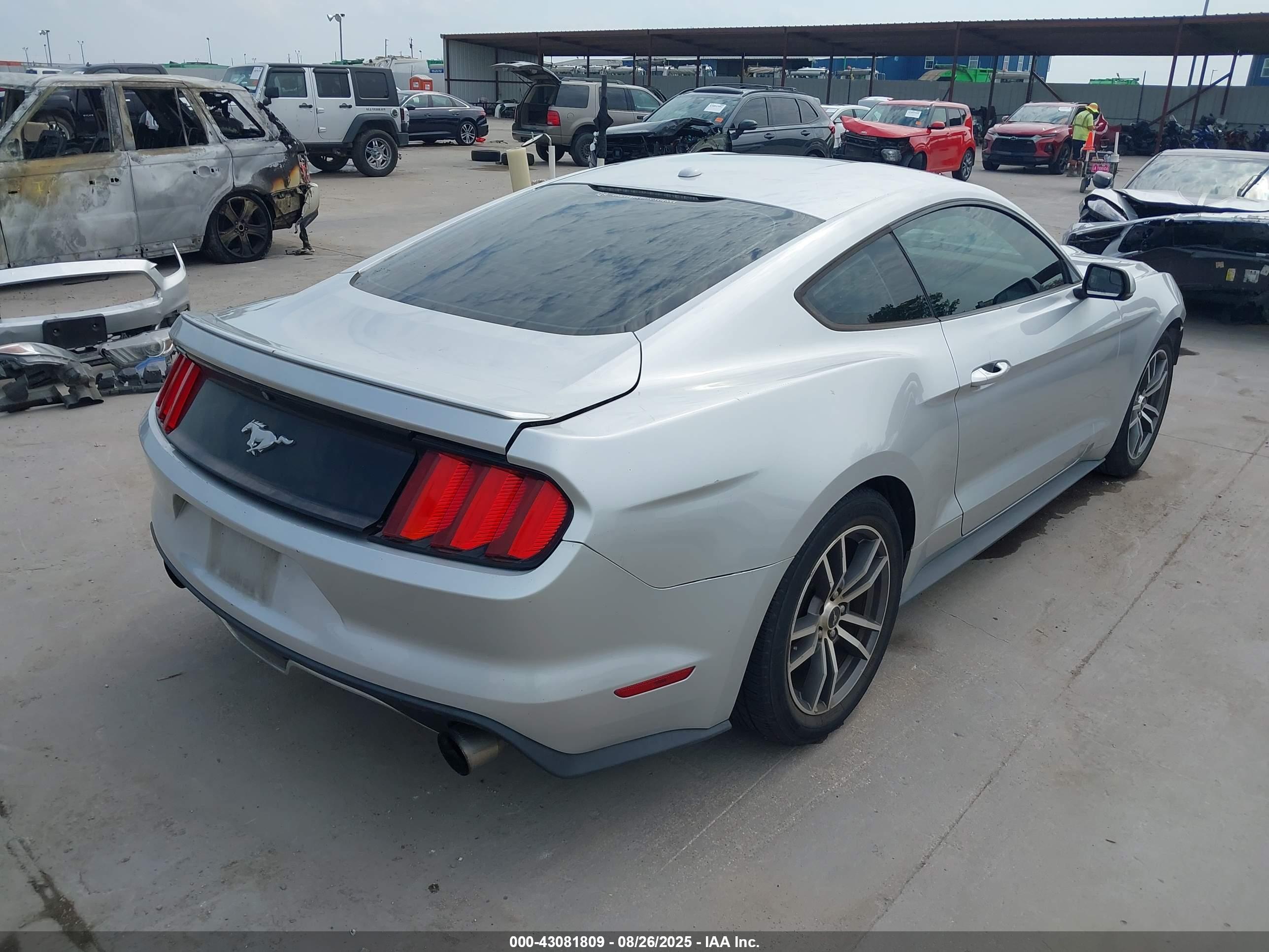 FORD MUSTANG image 4