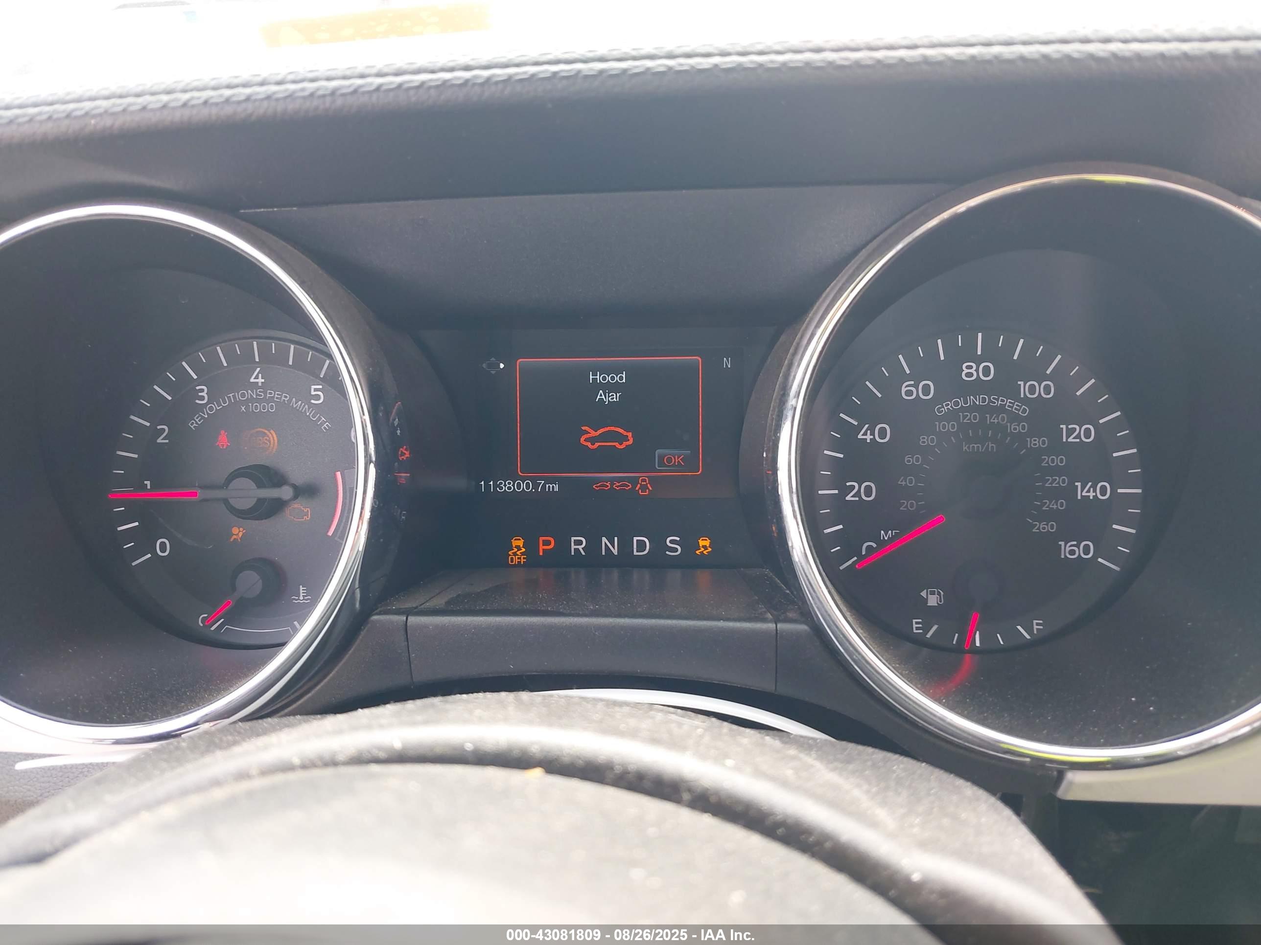 FORD MUSTANG image 7