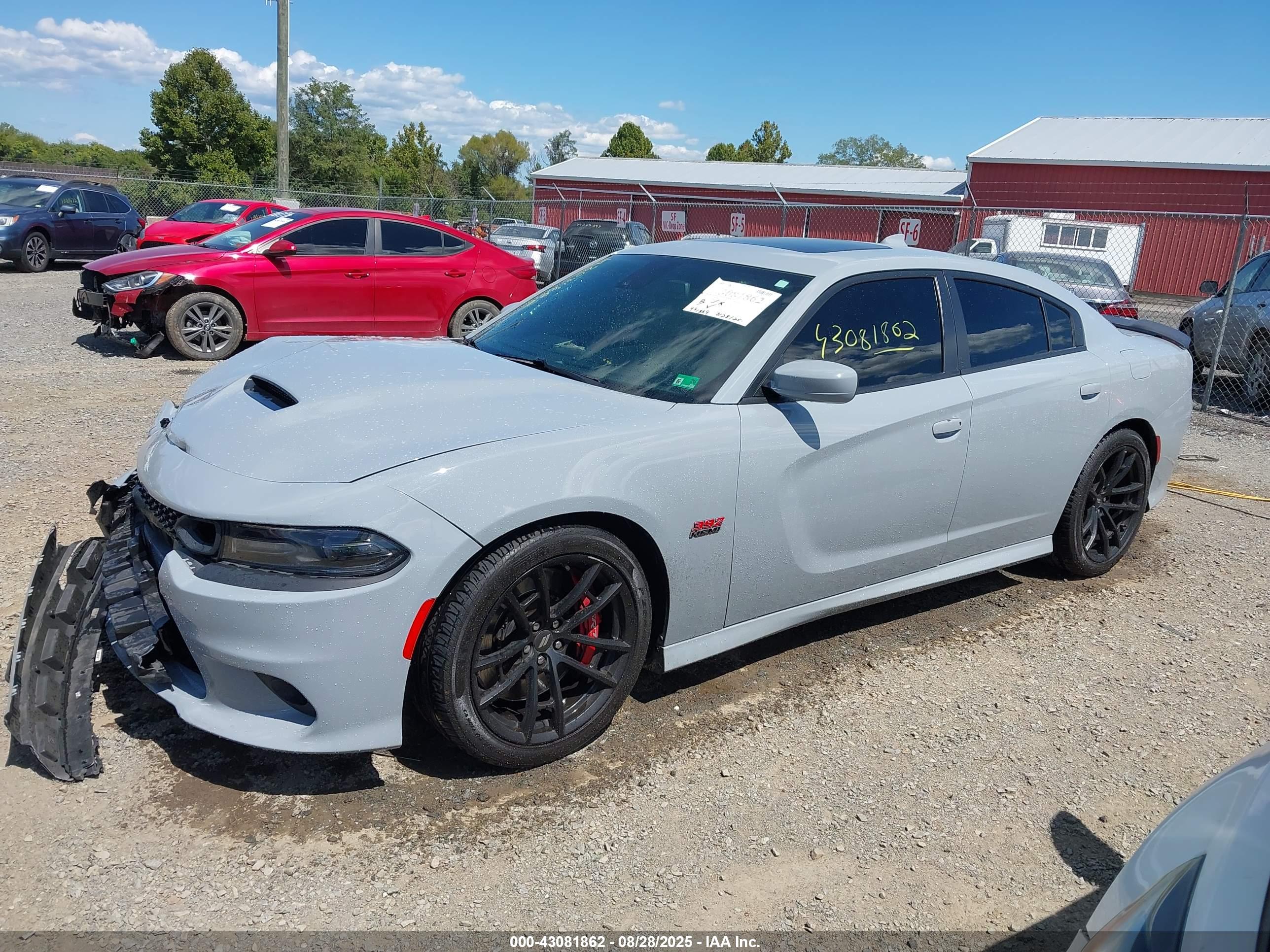 DODGE CHARGER image 2