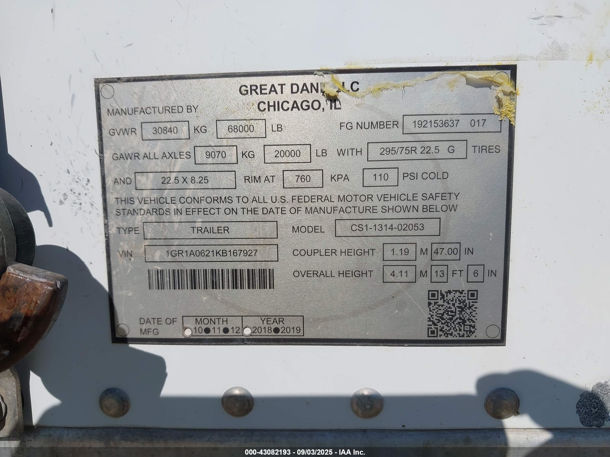 GREAT DANE image 9