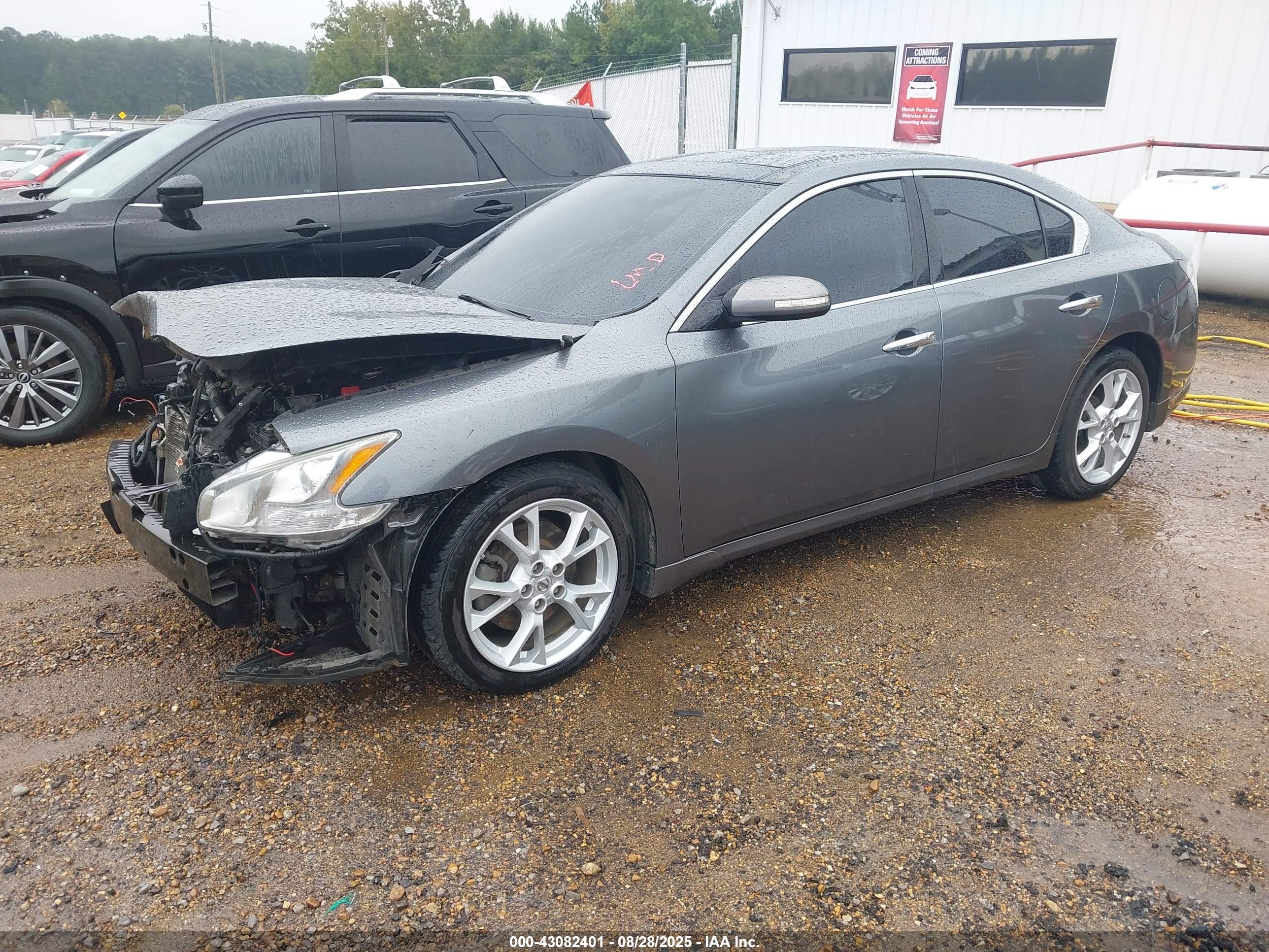 NISSAN MAXIMA image 2