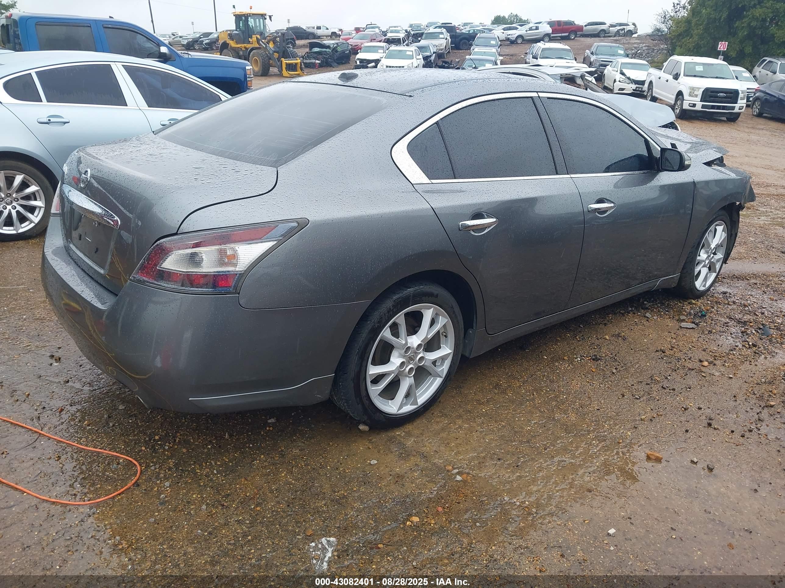 NISSAN MAXIMA image 4
