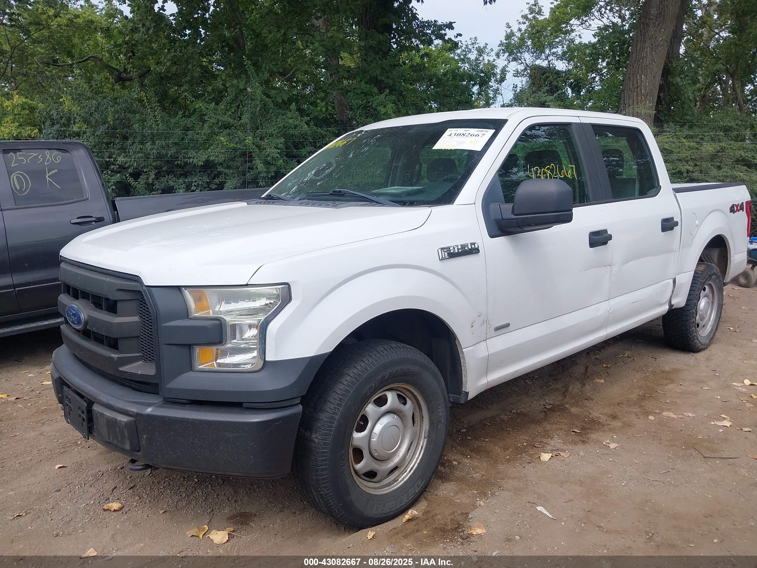 FORD F-150 image 6