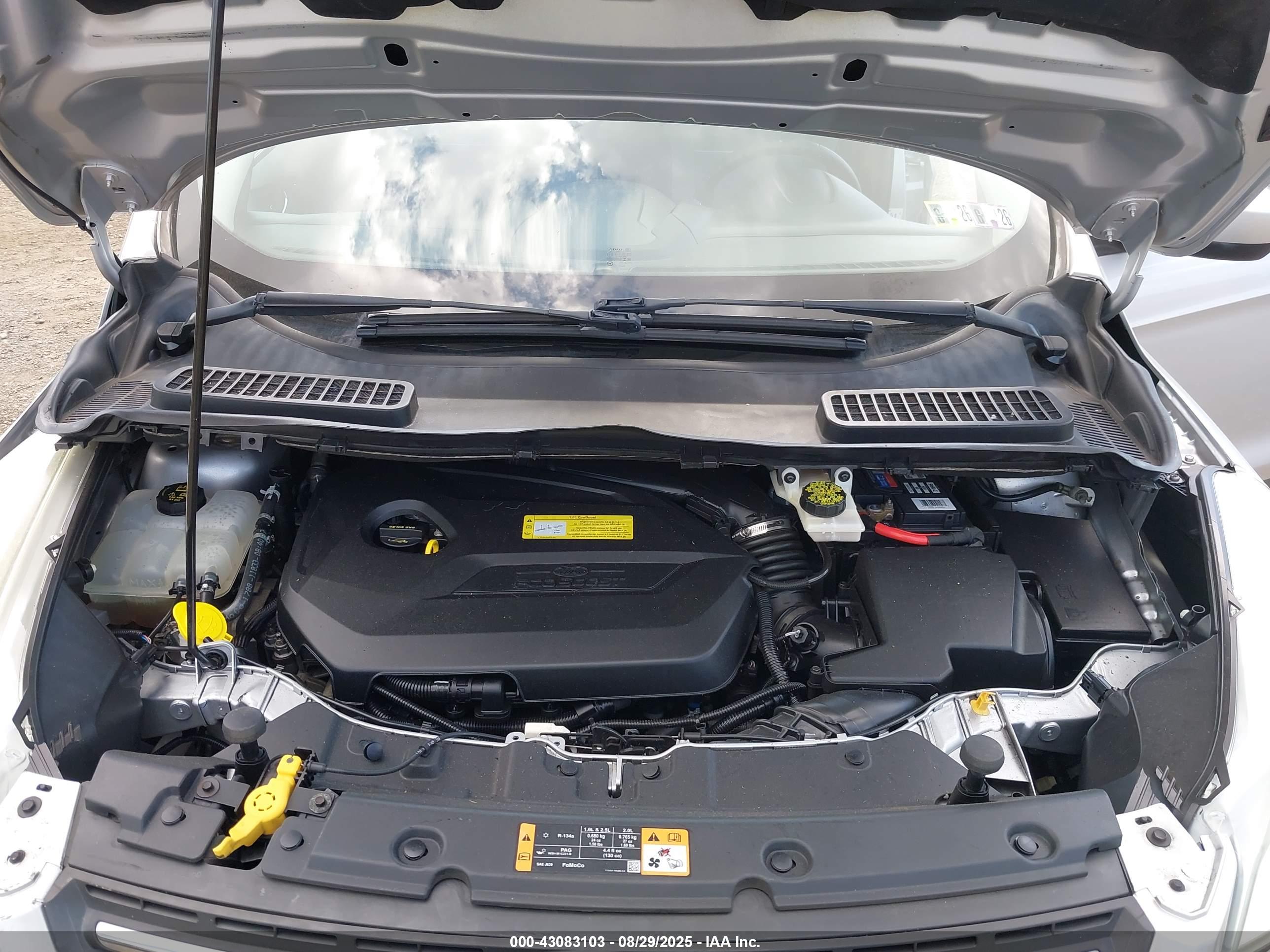 FORD ESCAPE image 10