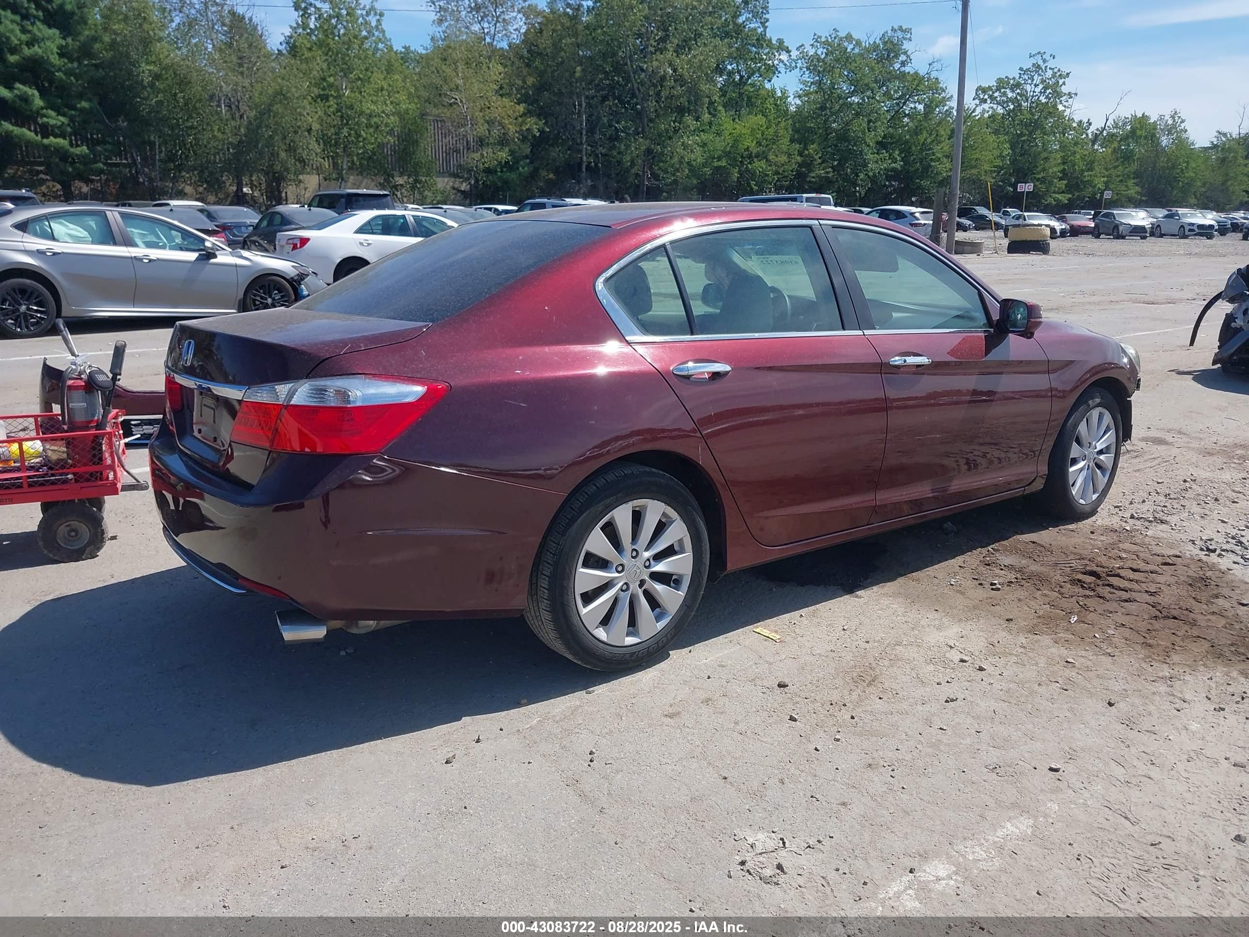 HONDA ACCORD image 4