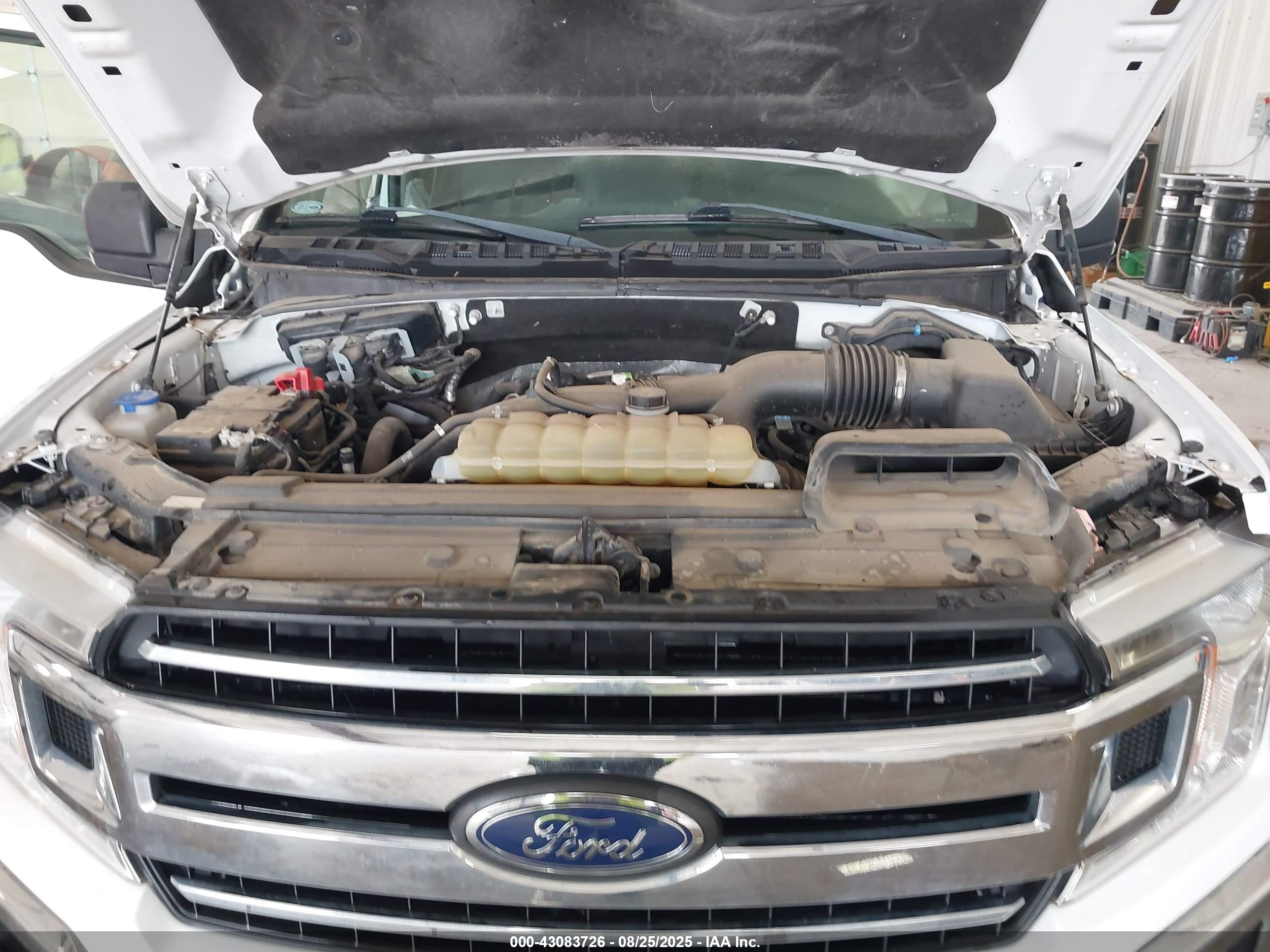 FORD F-150 image 10