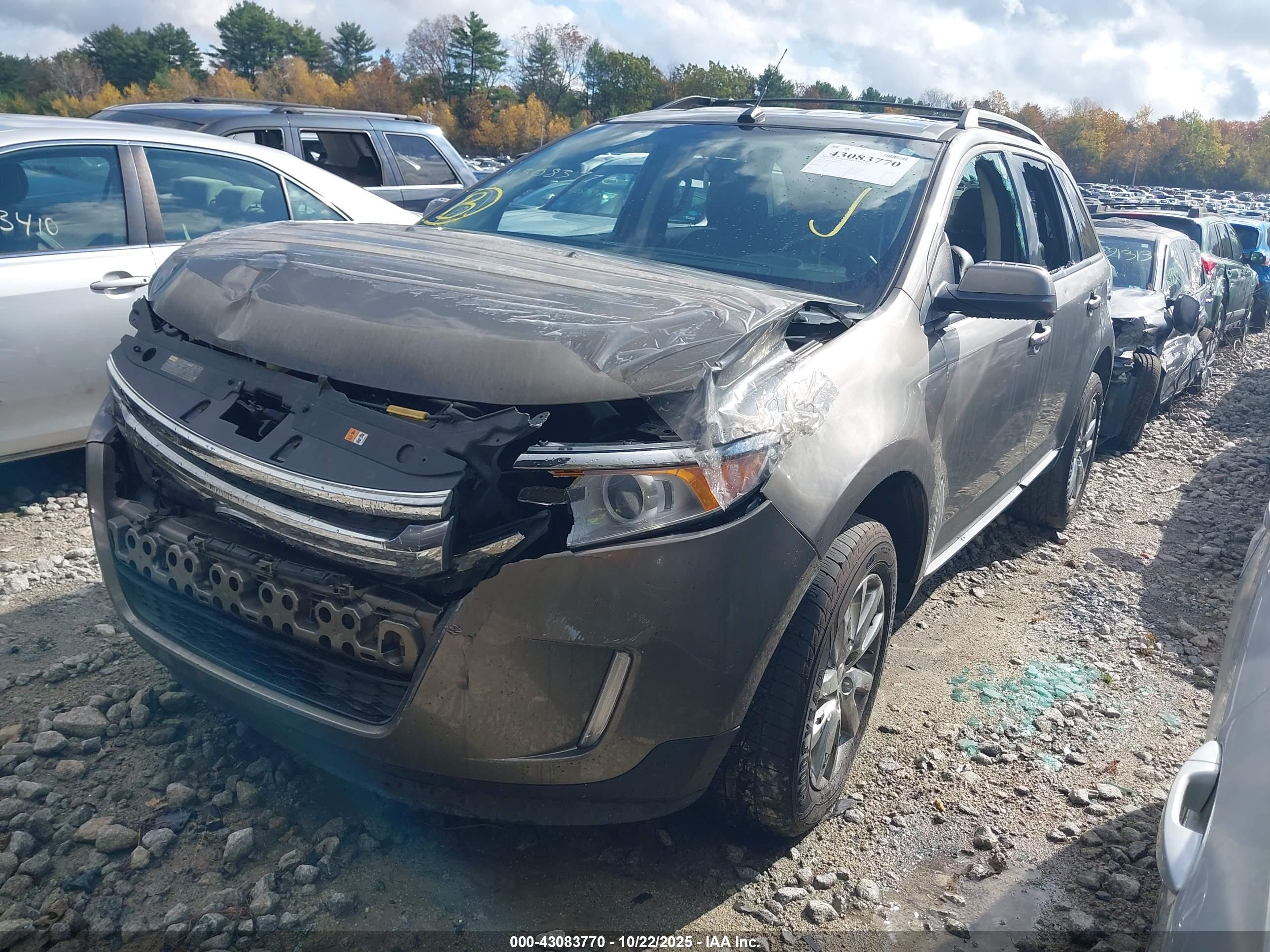 FORD EDGE image 2