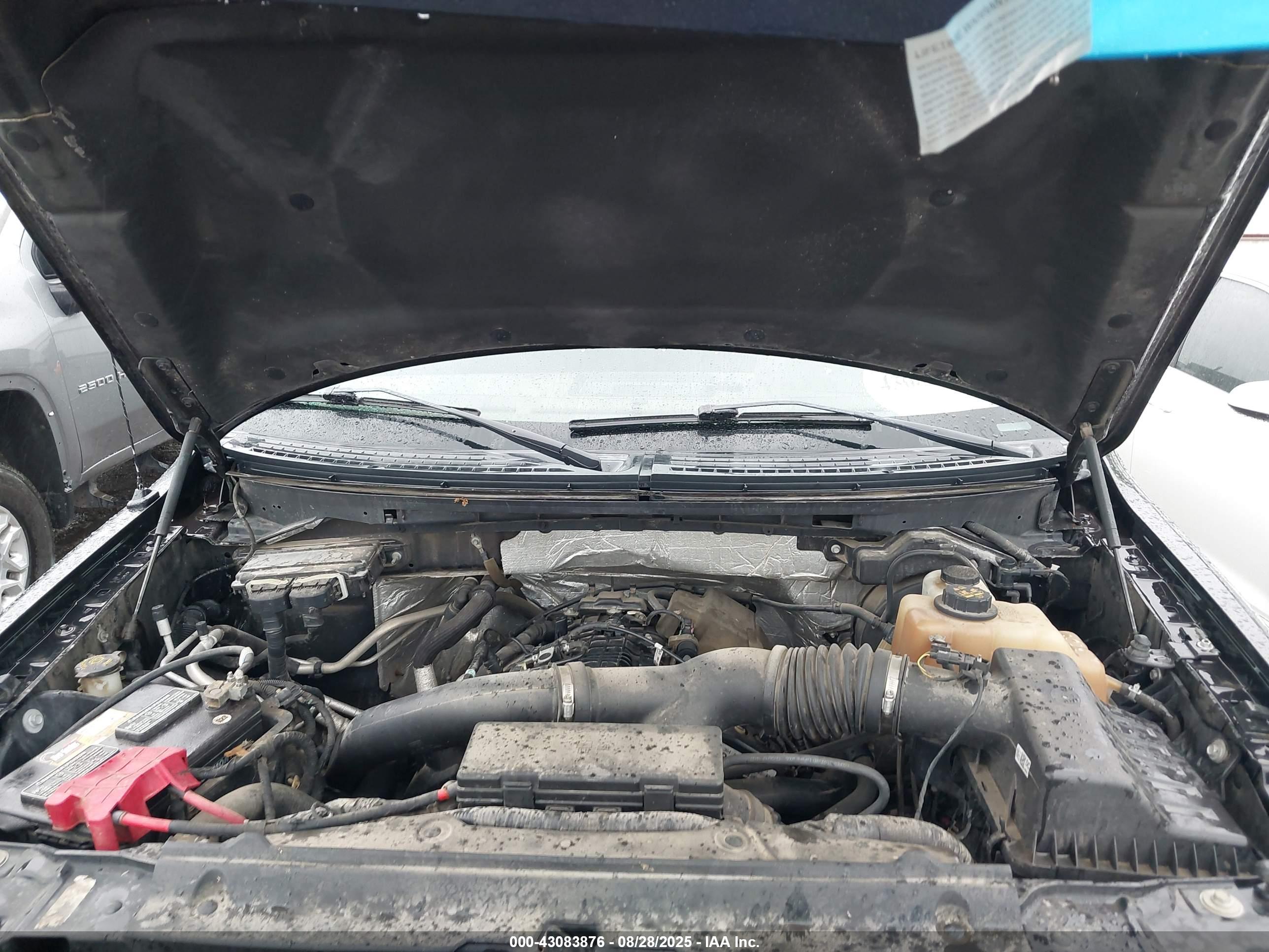 FORD F-150 image 10