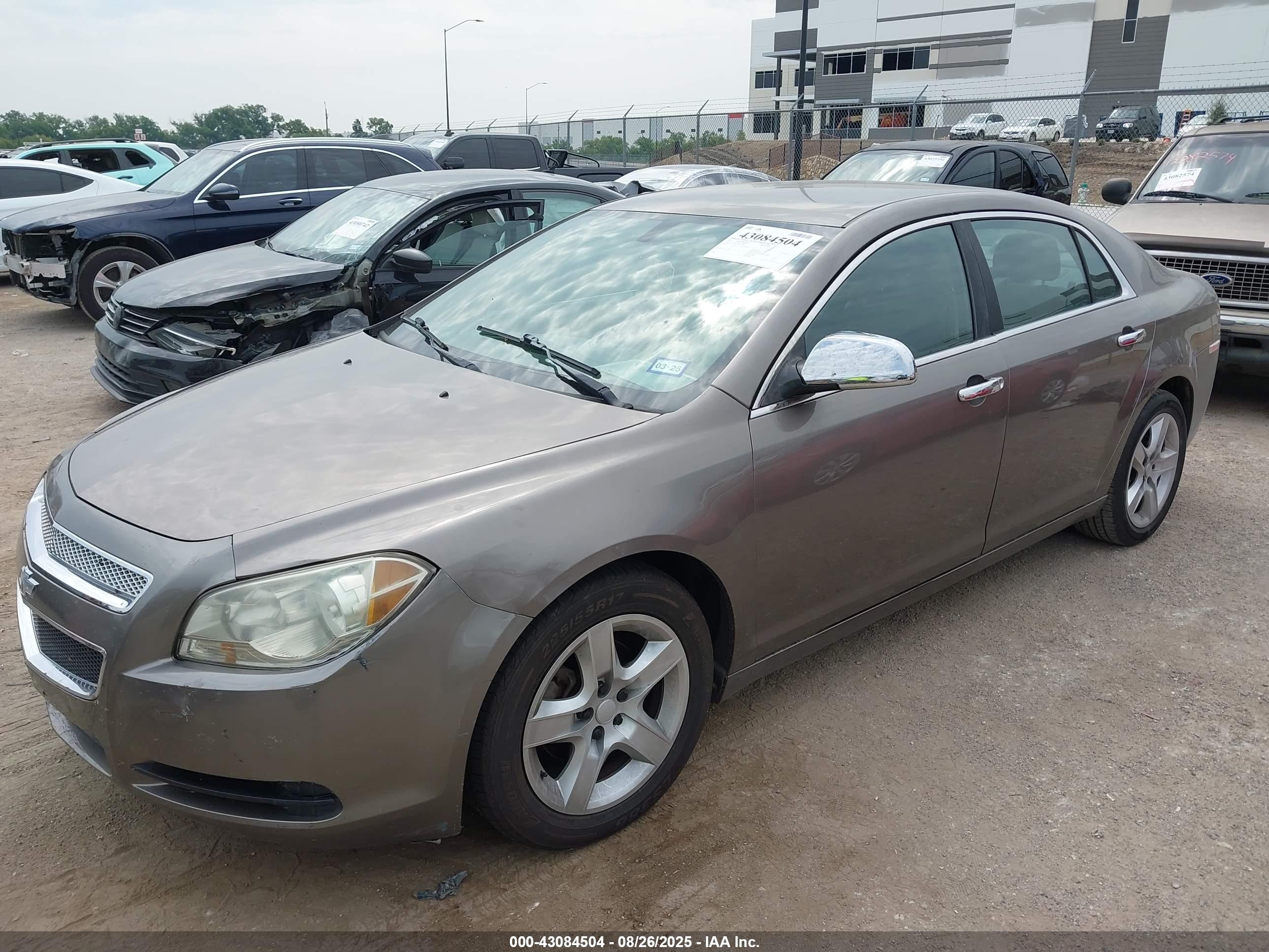 CHEVROLET MALIBU image 2