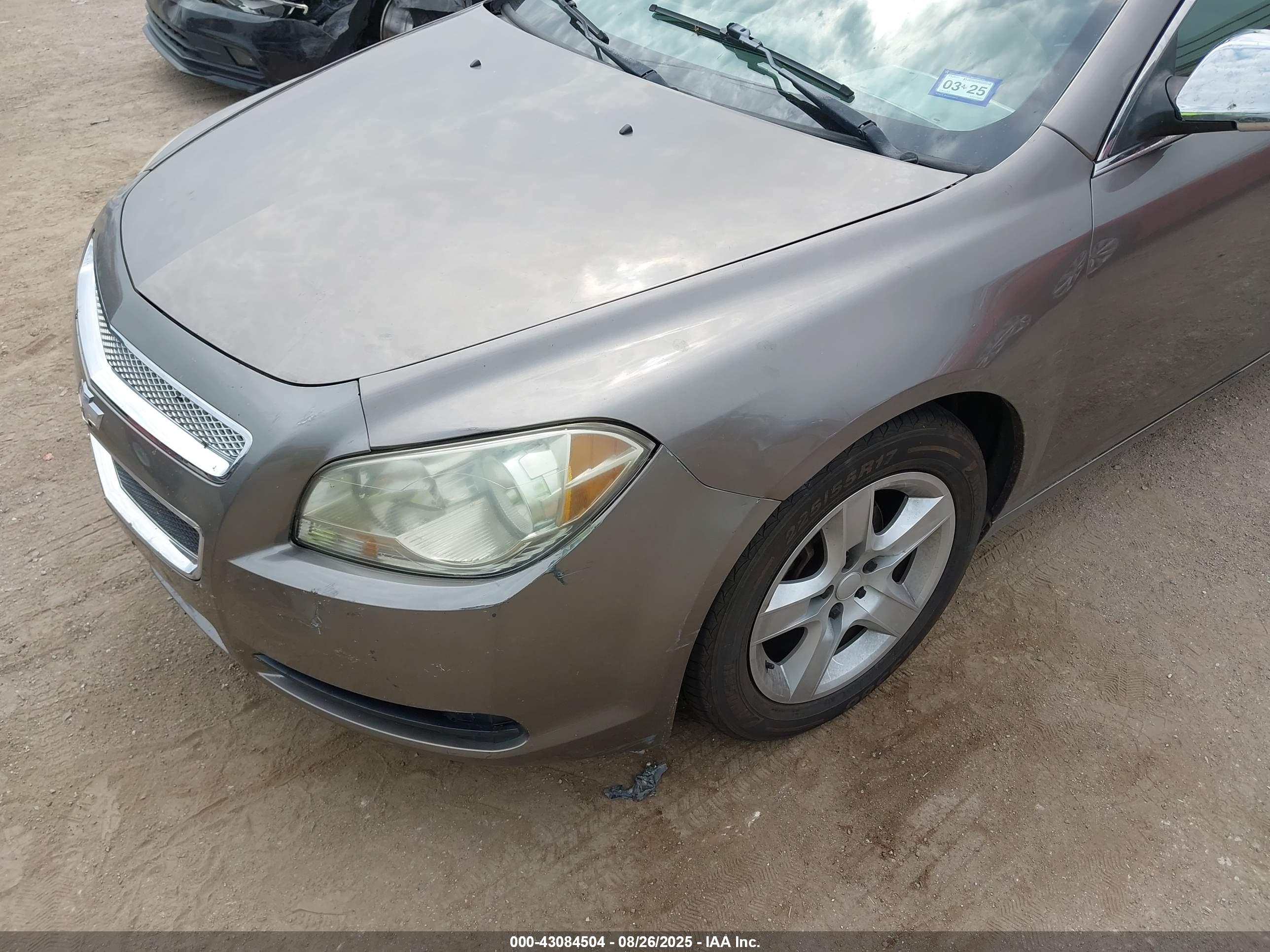 CHEVROLET MALIBU image 6