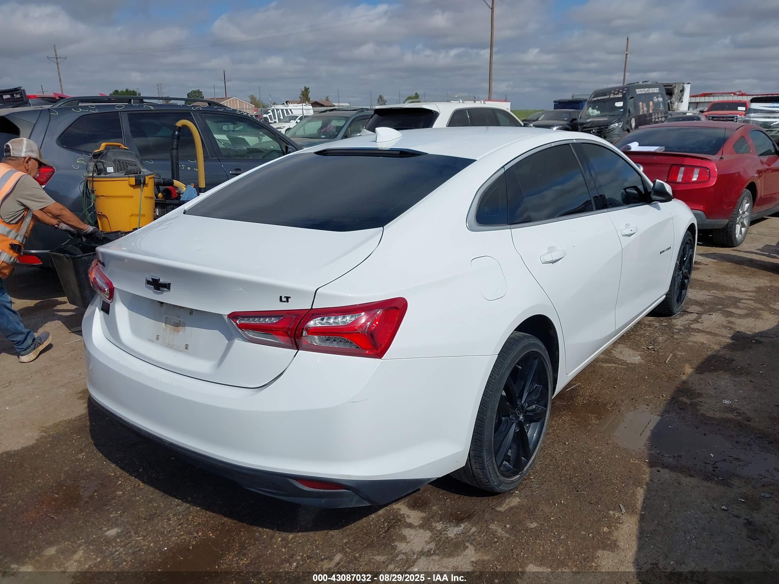CHEVROLET MALIBU image 4