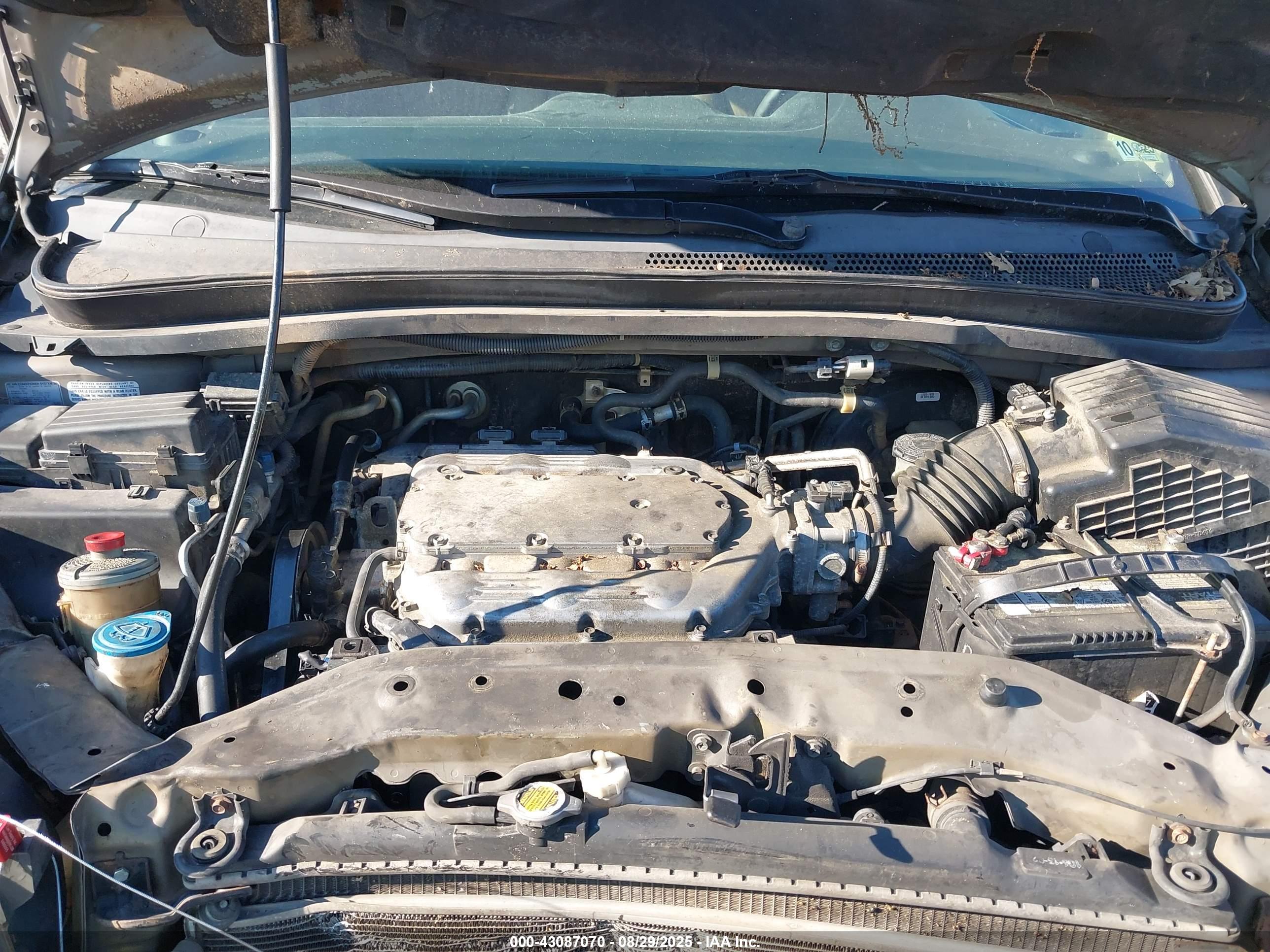 HONDA ODYSSEY image 10