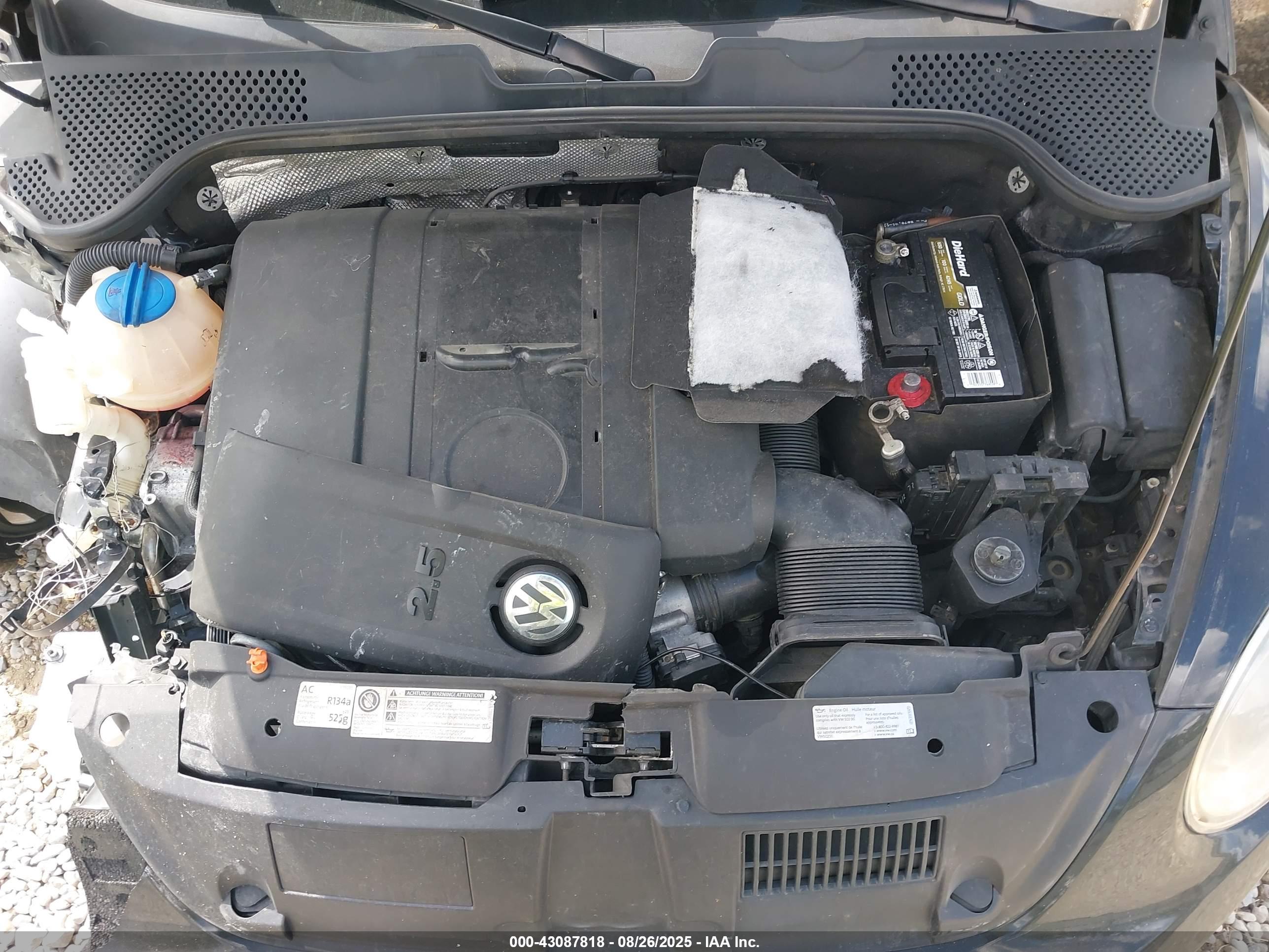 VOLKSWAGEN BEETLE image 10