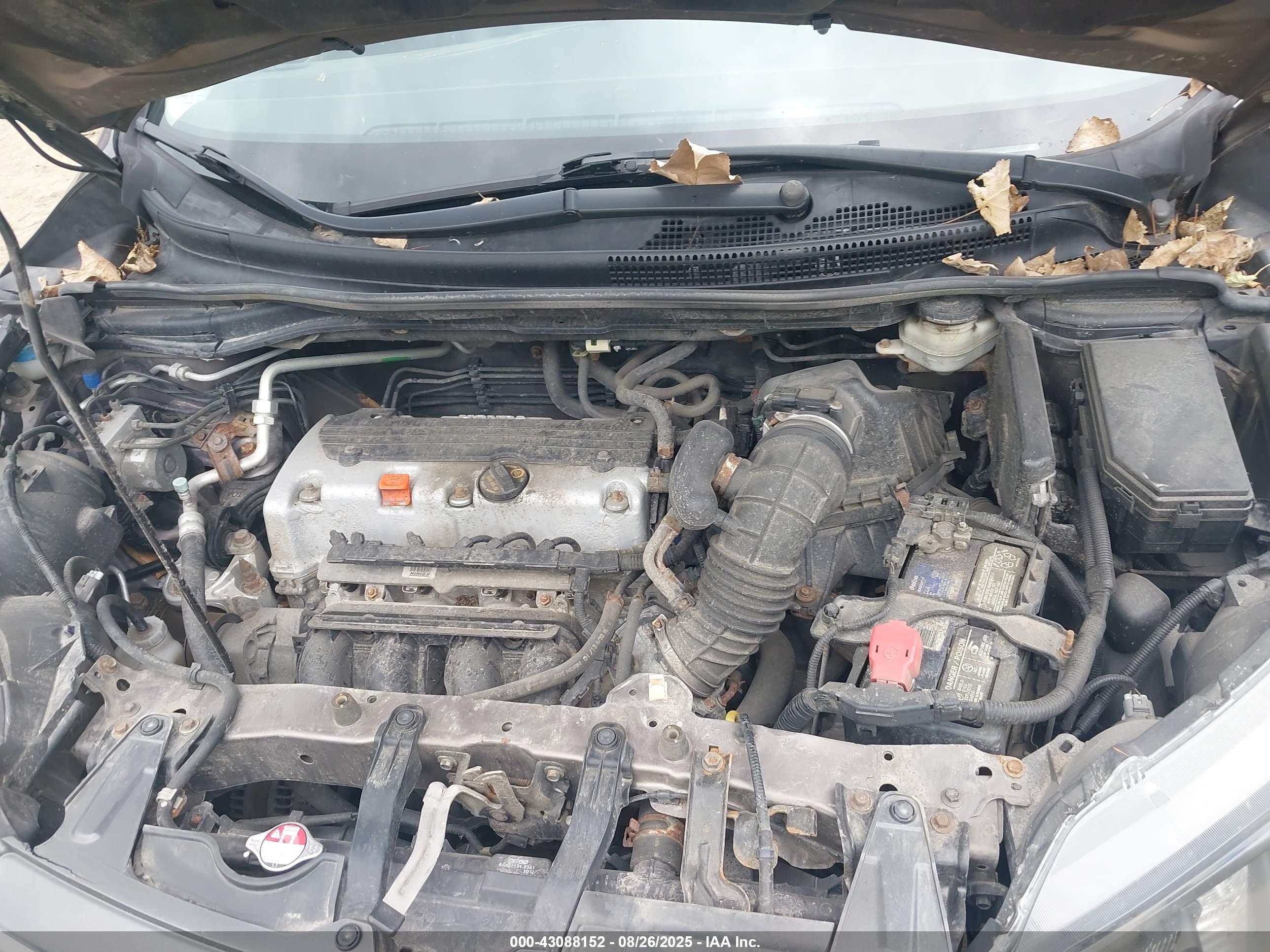 HONDA CR-V image 10