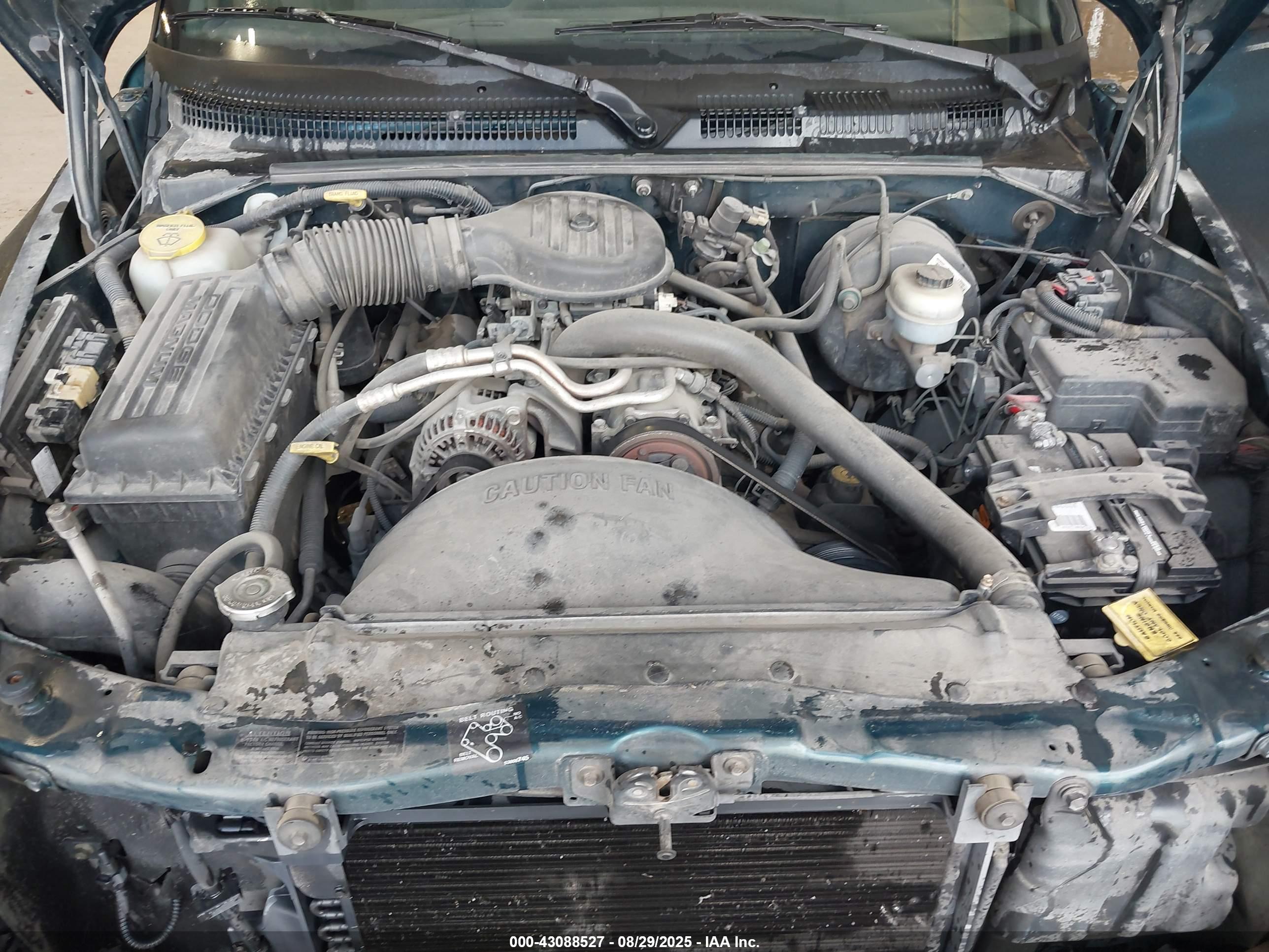 DODGE DAKOTA image 10