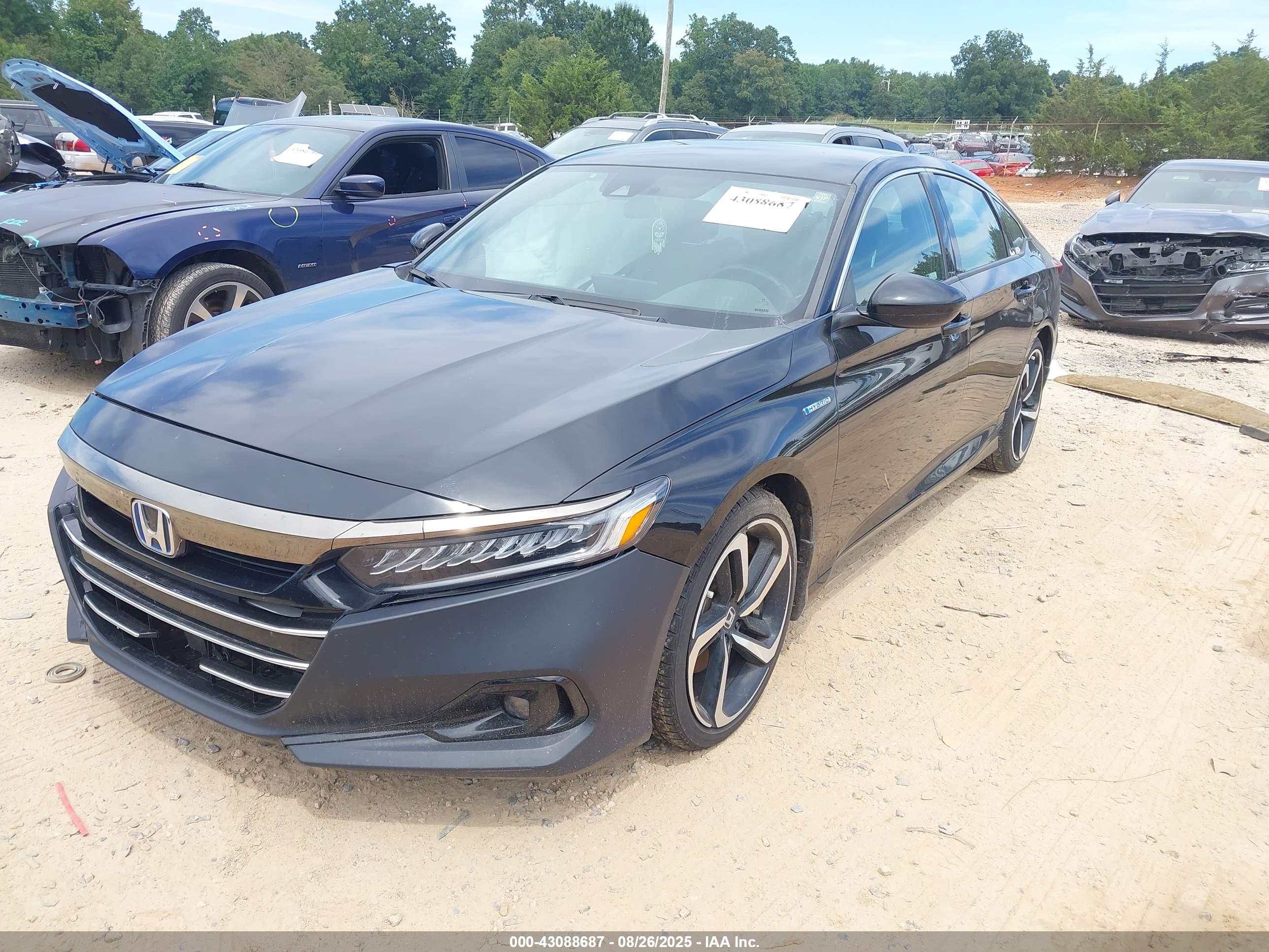 HONDA ACCORD image 2