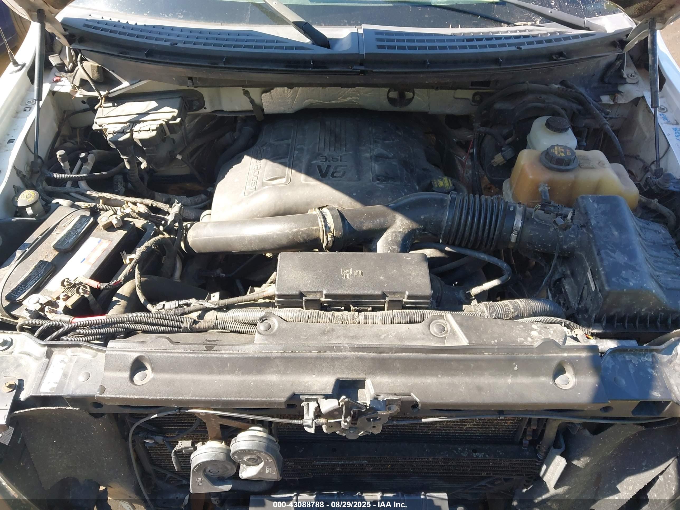 FORD F-150 image 10