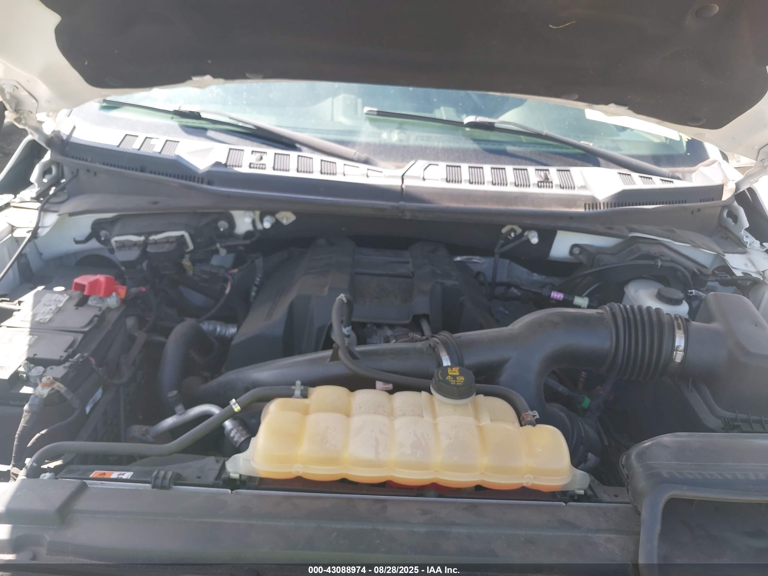 FORD F-150 image 10