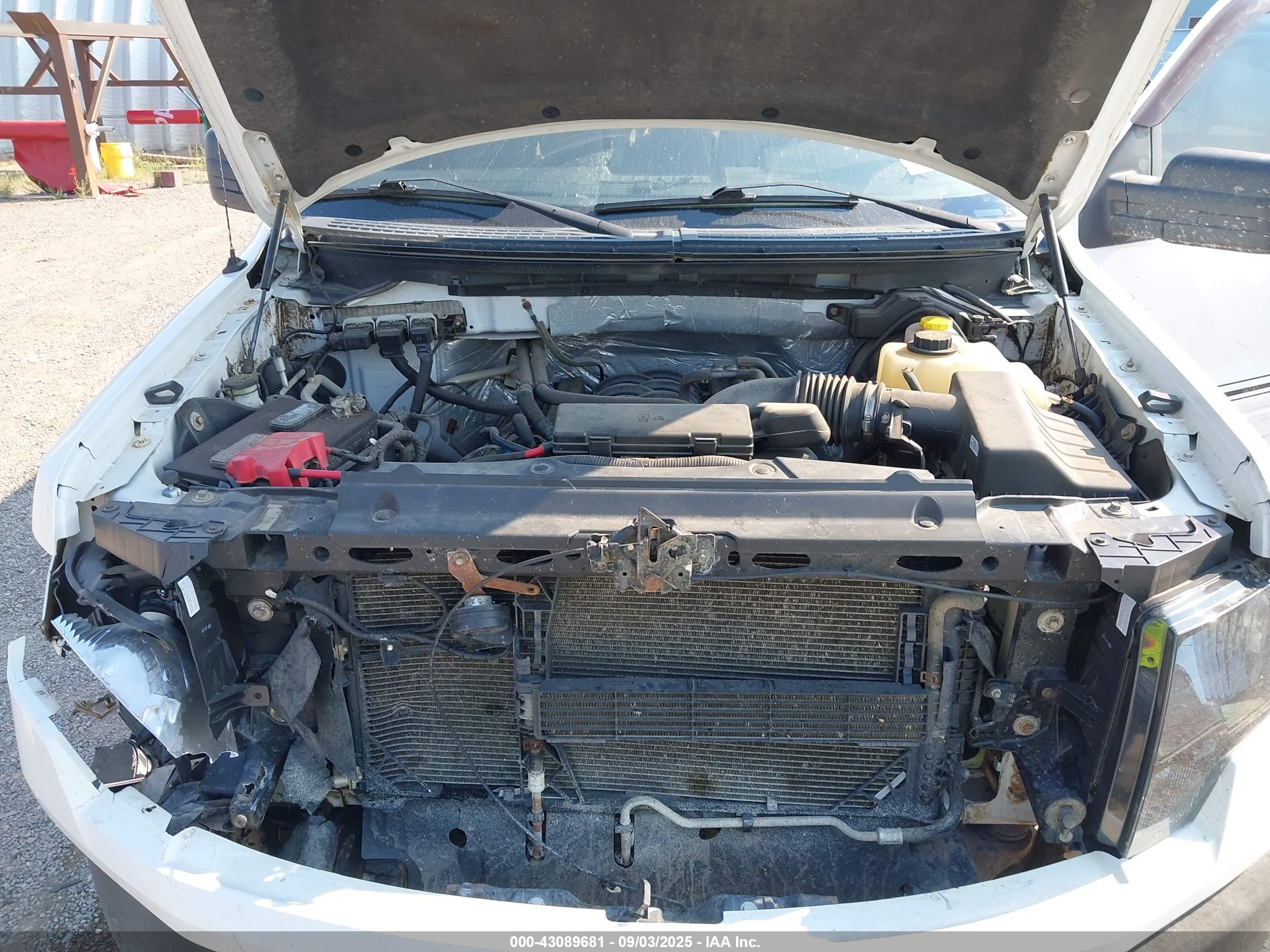 FORD F-150 image 10