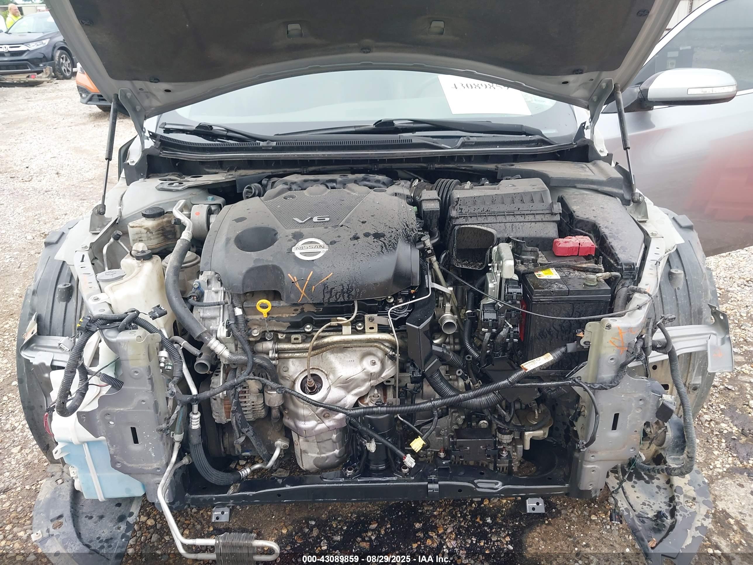 NISSAN MAXIMA image 10