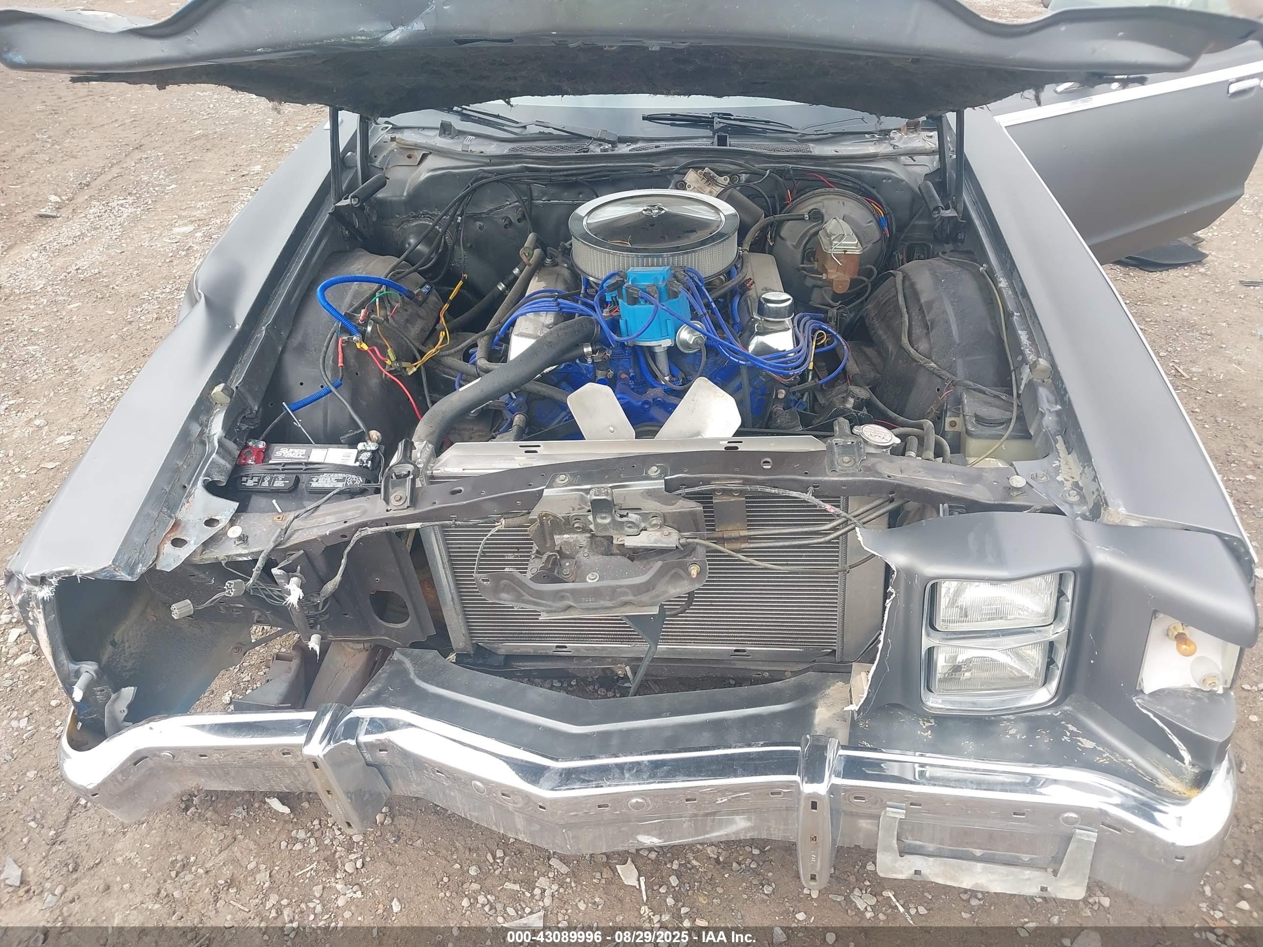 FORD RANCHERO image 10