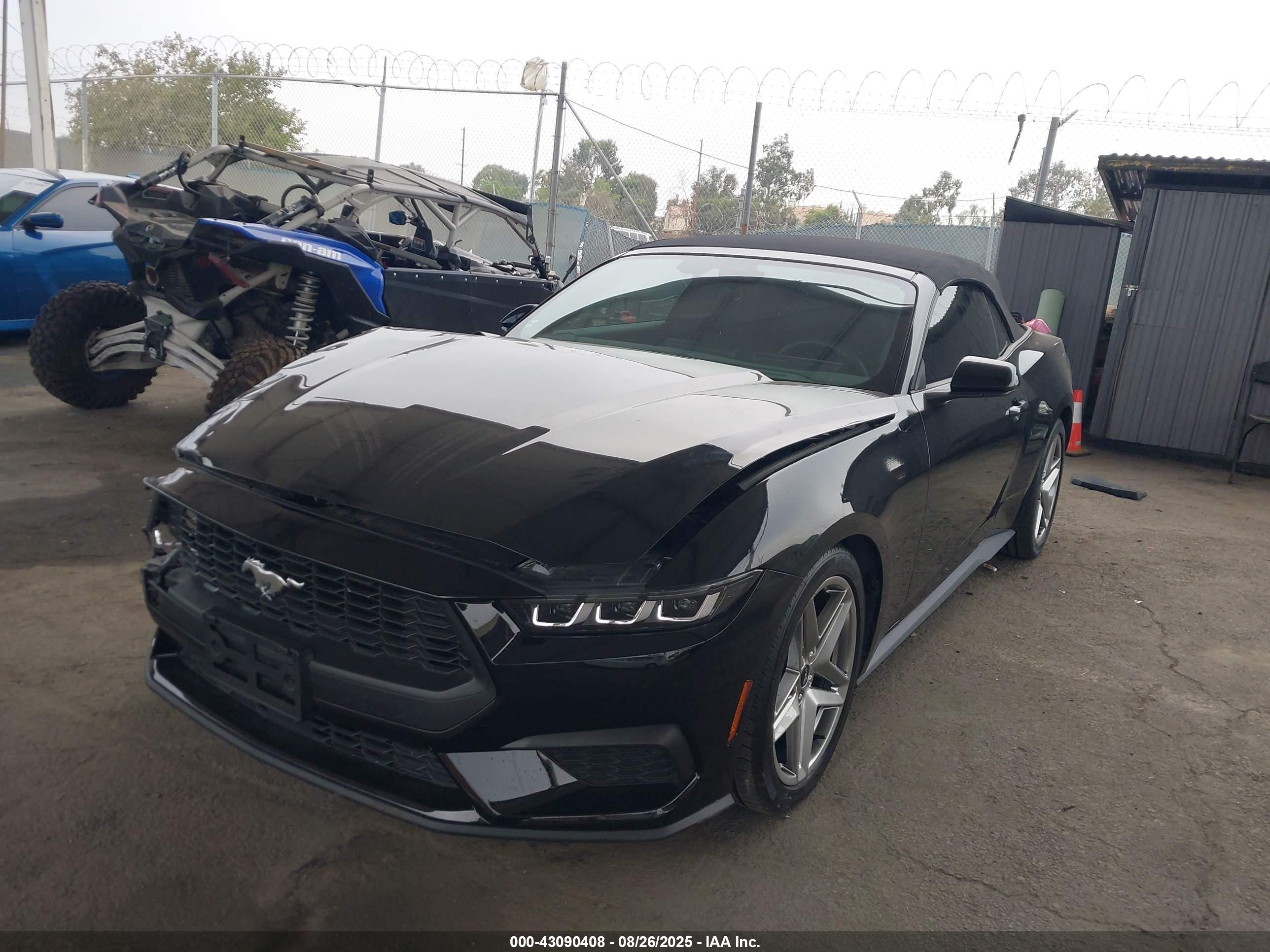 FORD MUSTANG image 2