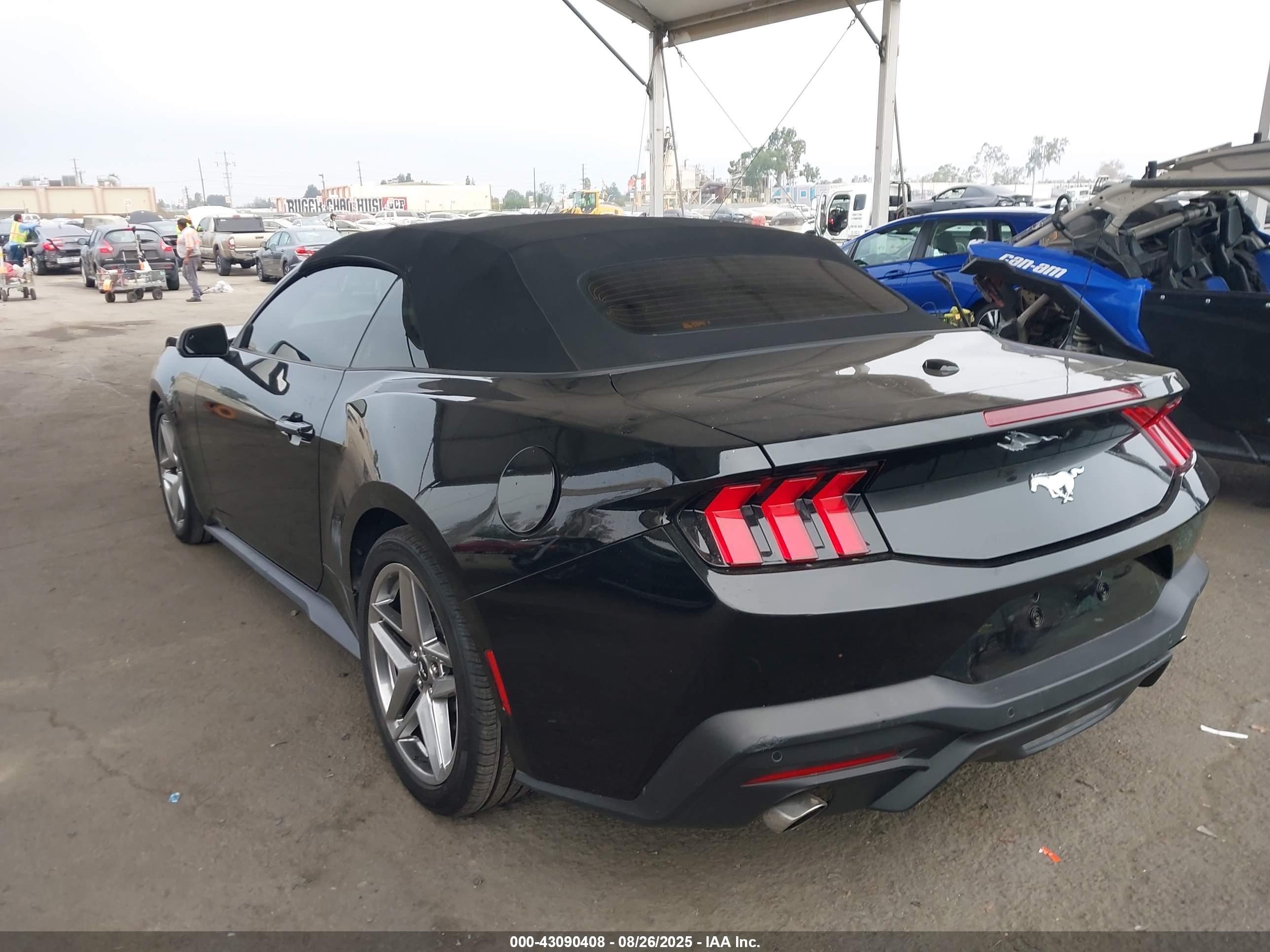 FORD MUSTANG image 3