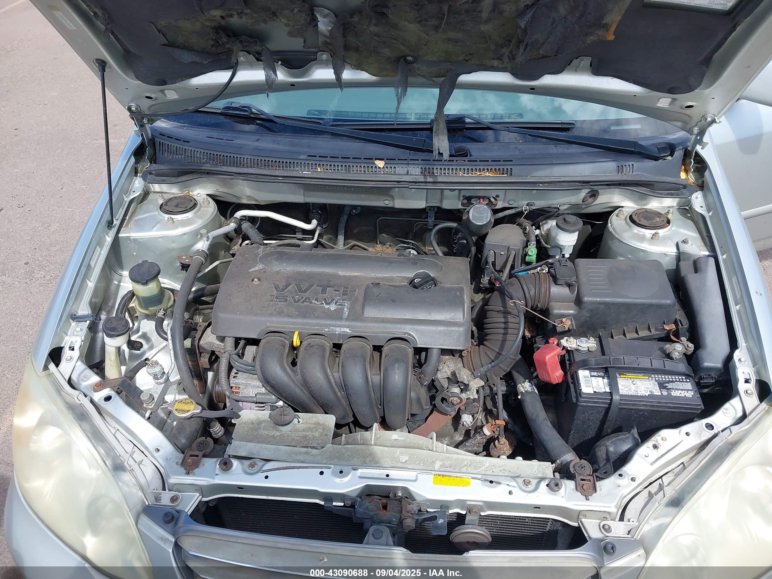 TOYOTA COROLLA image 10