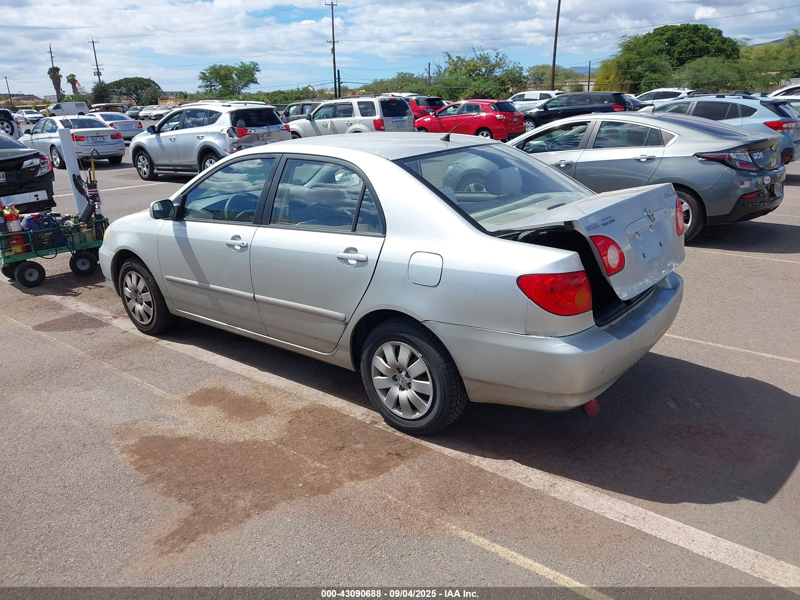 TOYOTA COROLLA image 3
