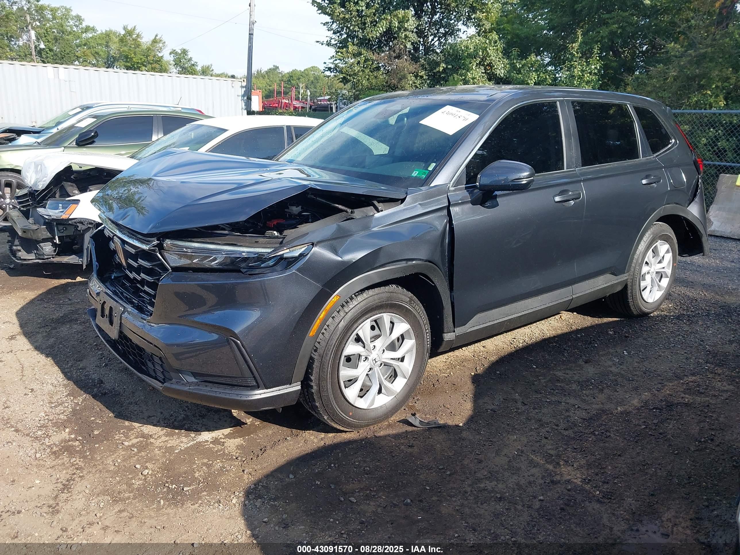 HONDA CR-V image 2
