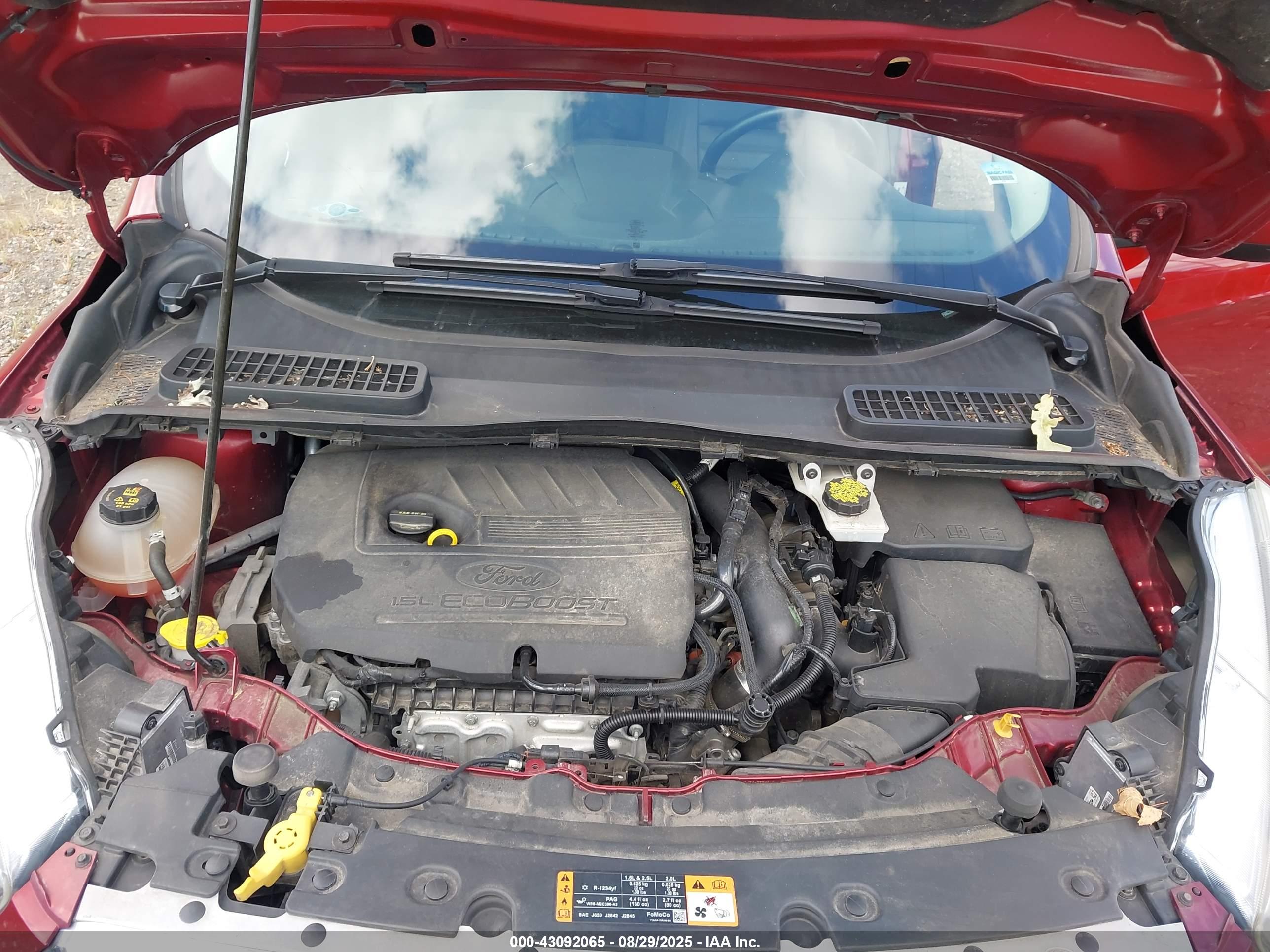 FORD ESCAPE image 10