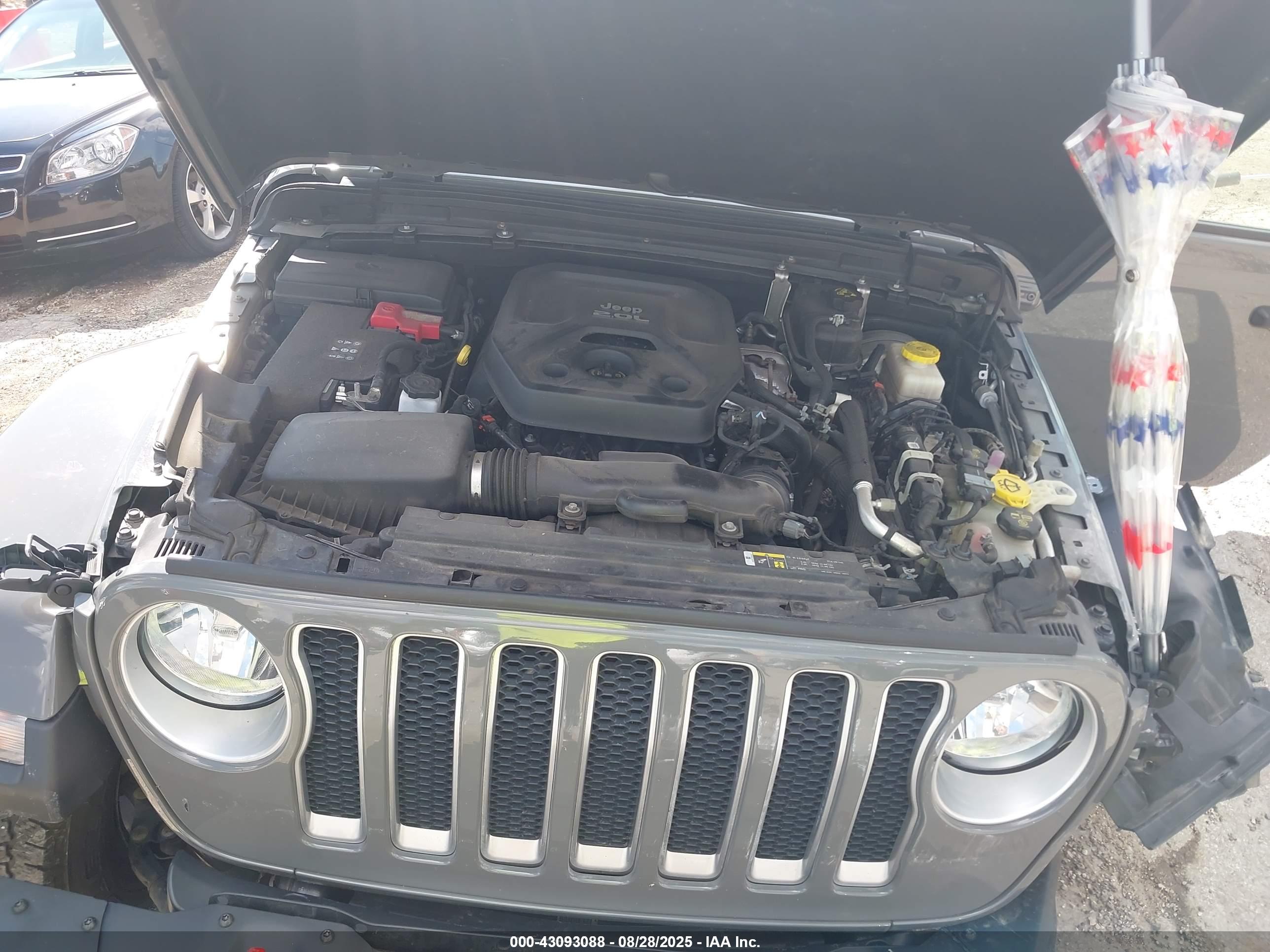 JEEP WRANGLER image 10