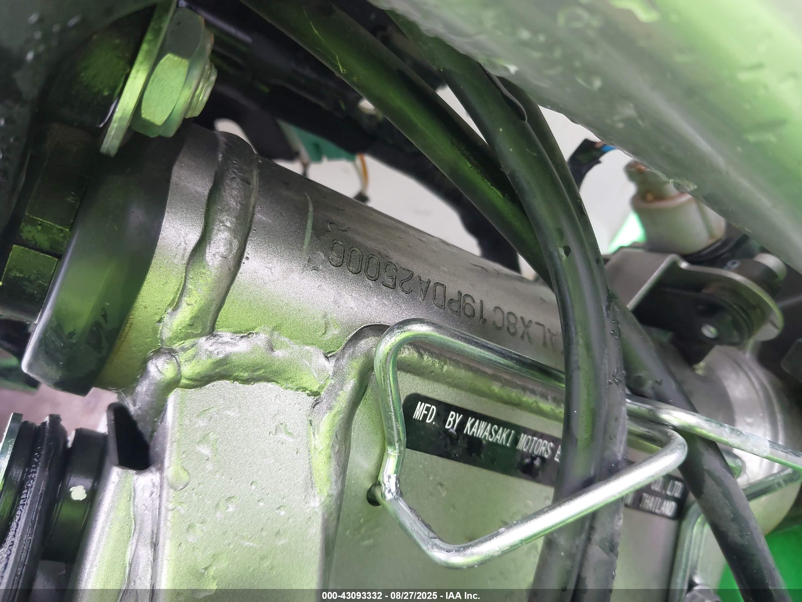 KAWASAKI KLX300 image 10