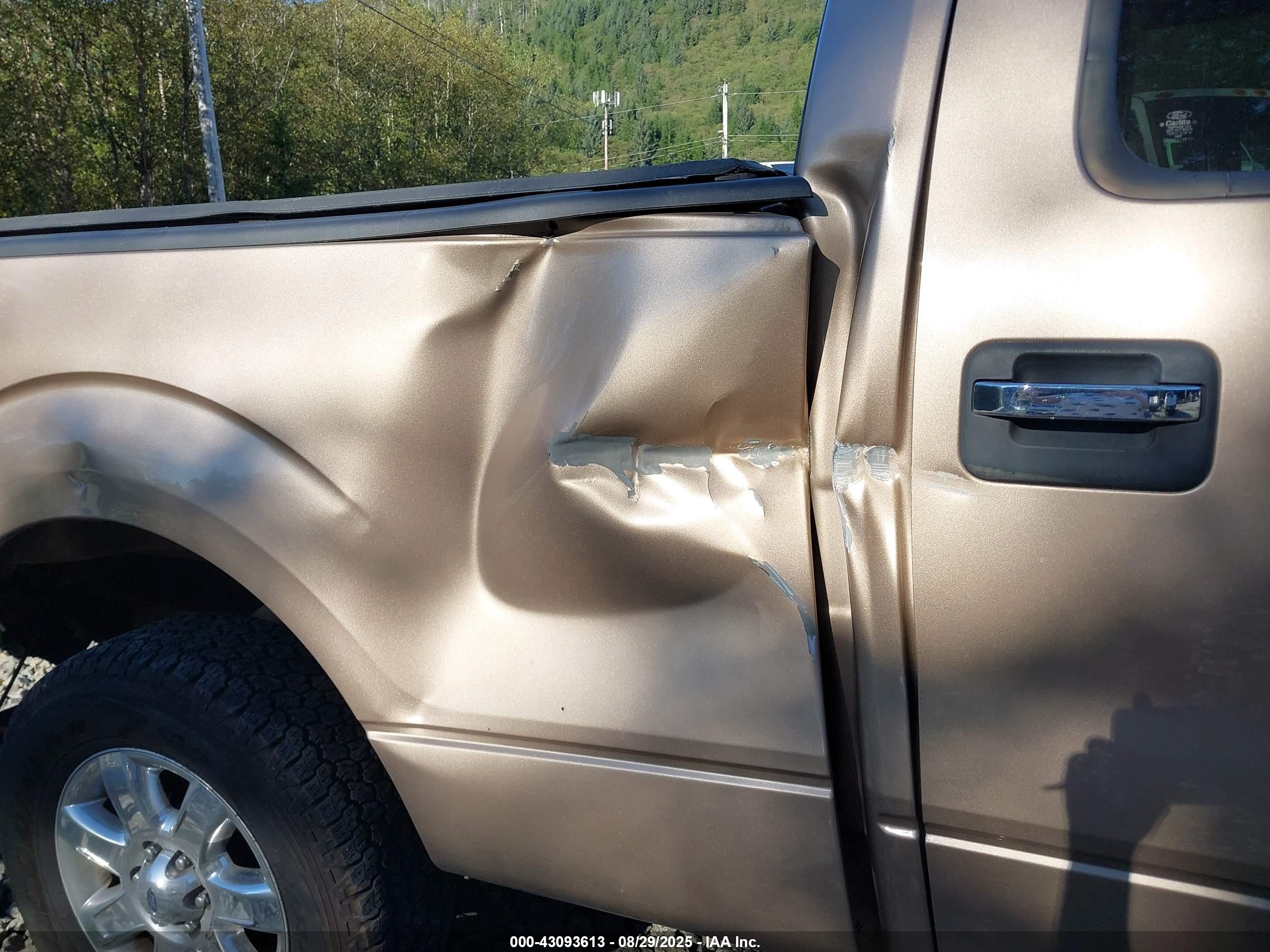 FORD F-150 image 6